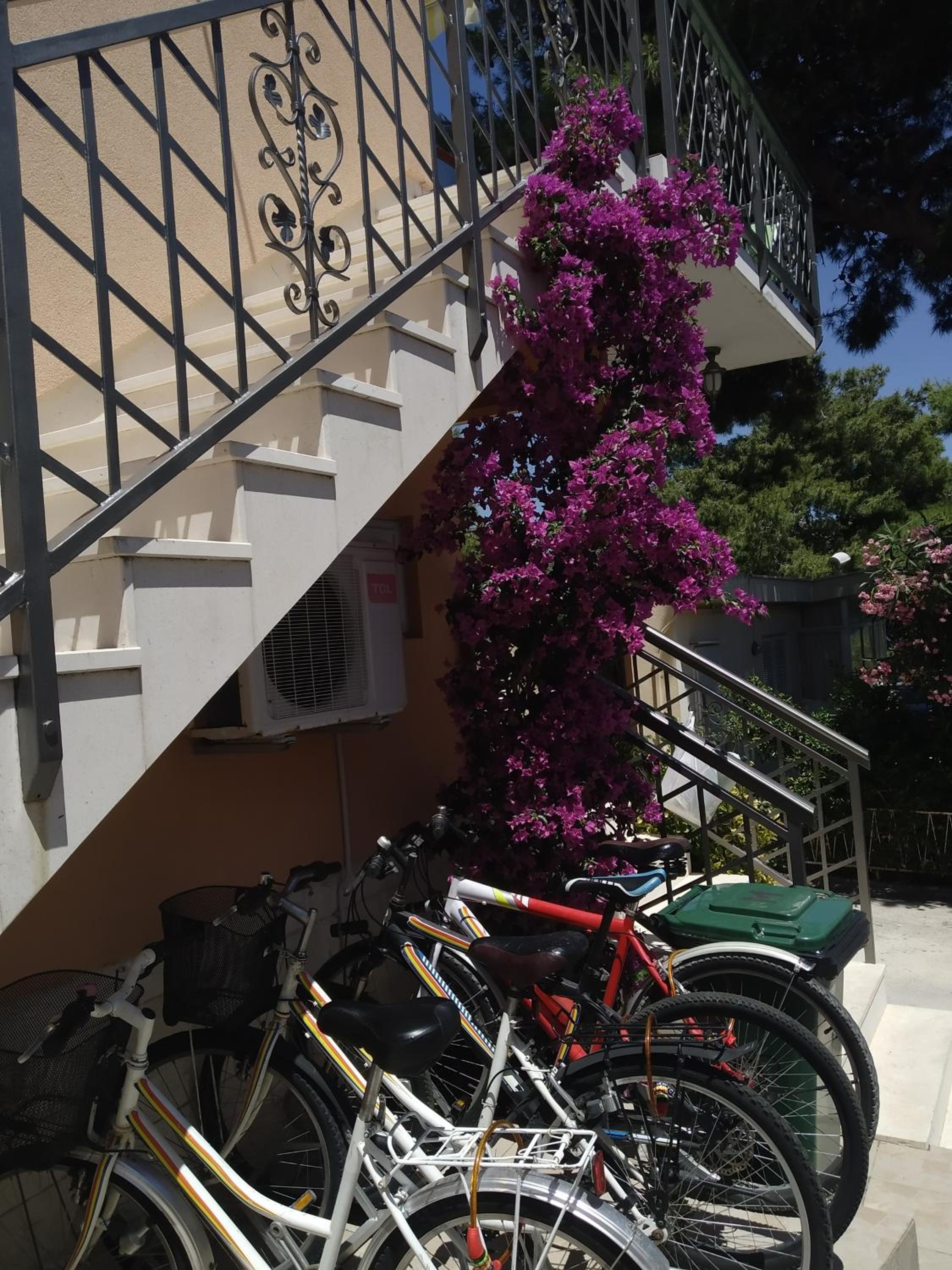 Photo 40