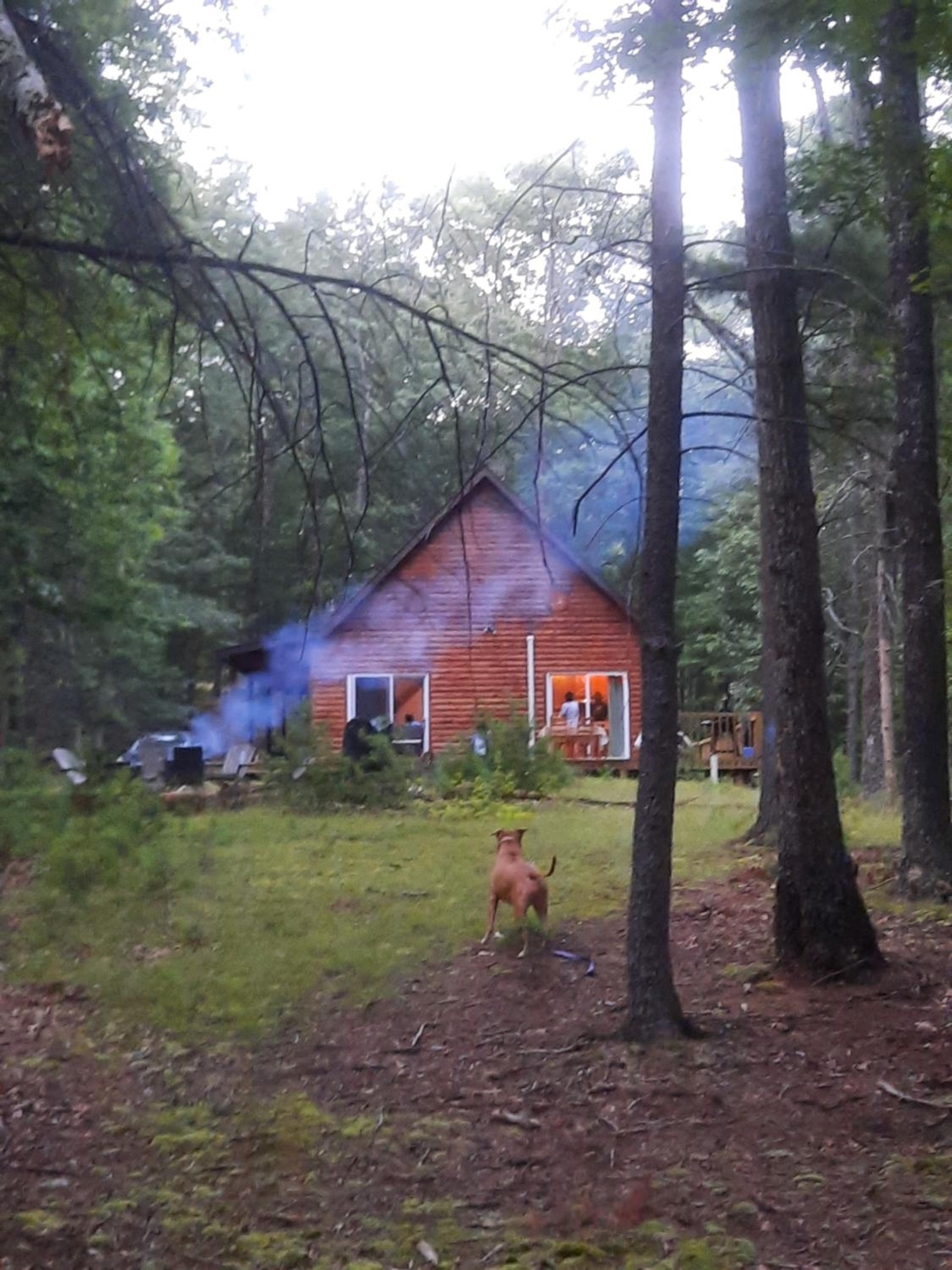 Photo 41