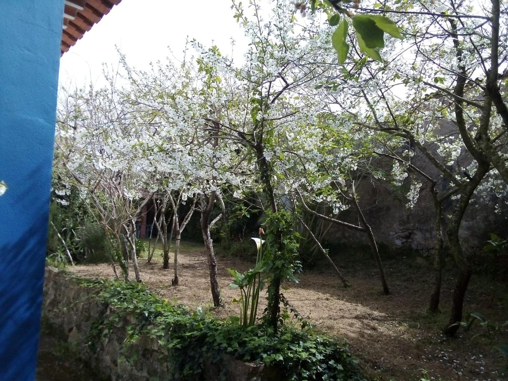 Casas Altas Obidos - AL view 5
