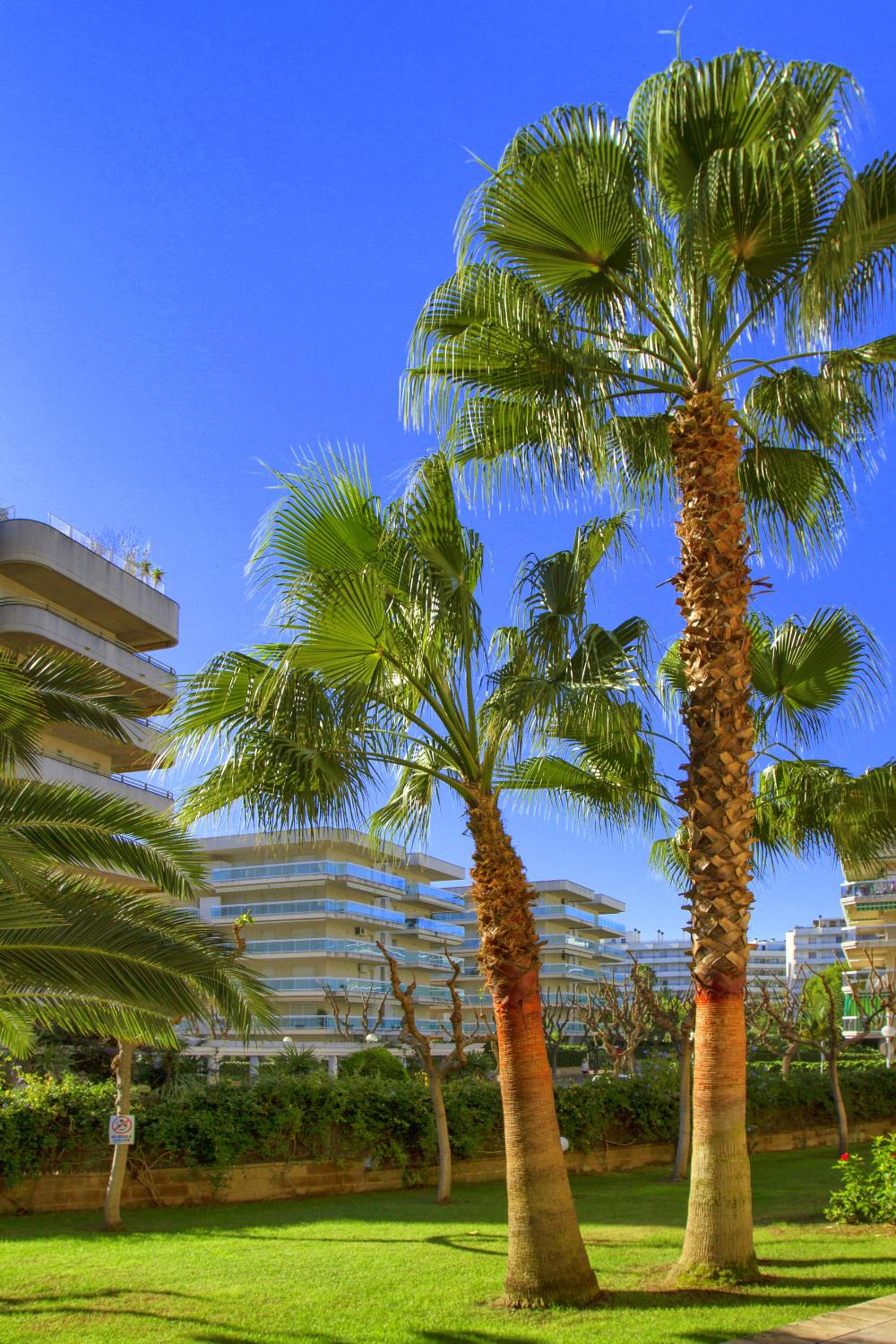 Rentalmar Ventura Village Families