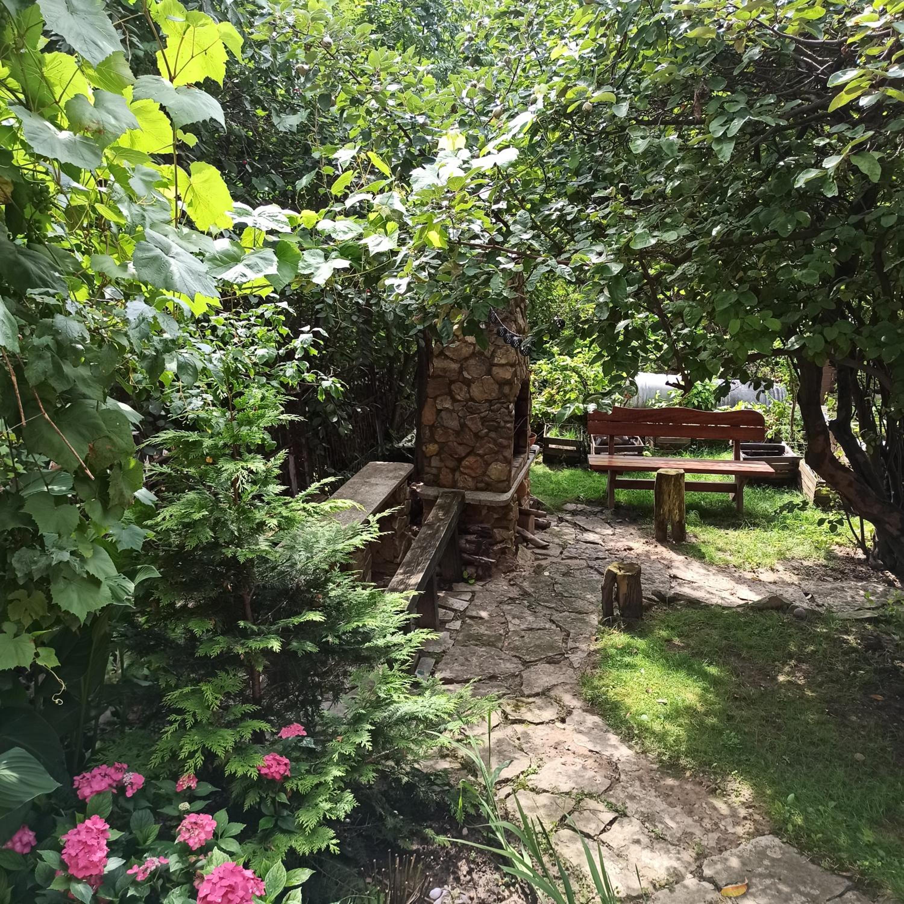 Photo 27