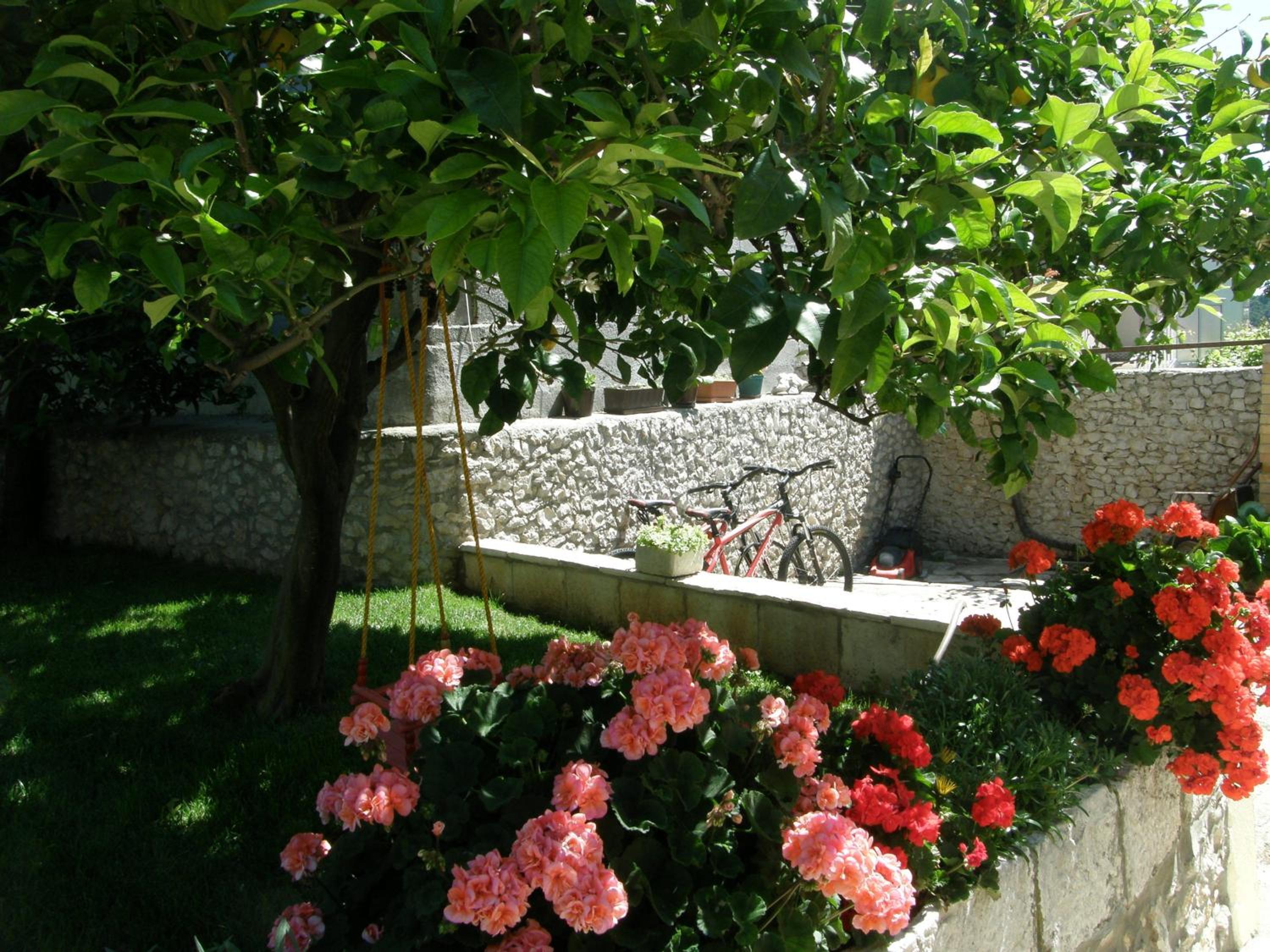 Photo 33