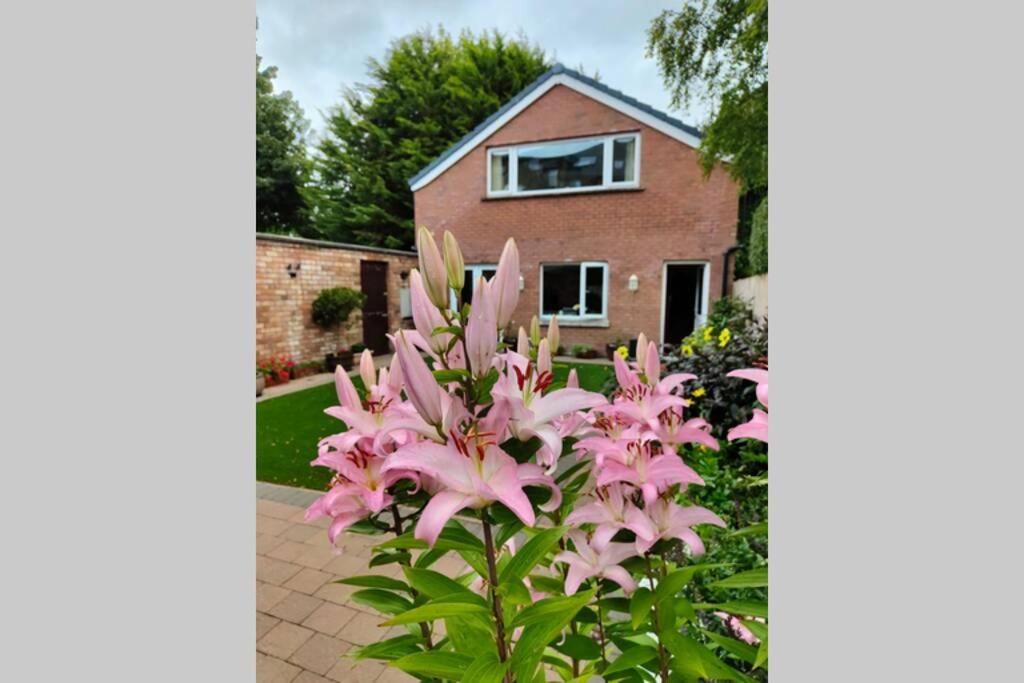 BT 9 Granny Flat & walled garden view 4