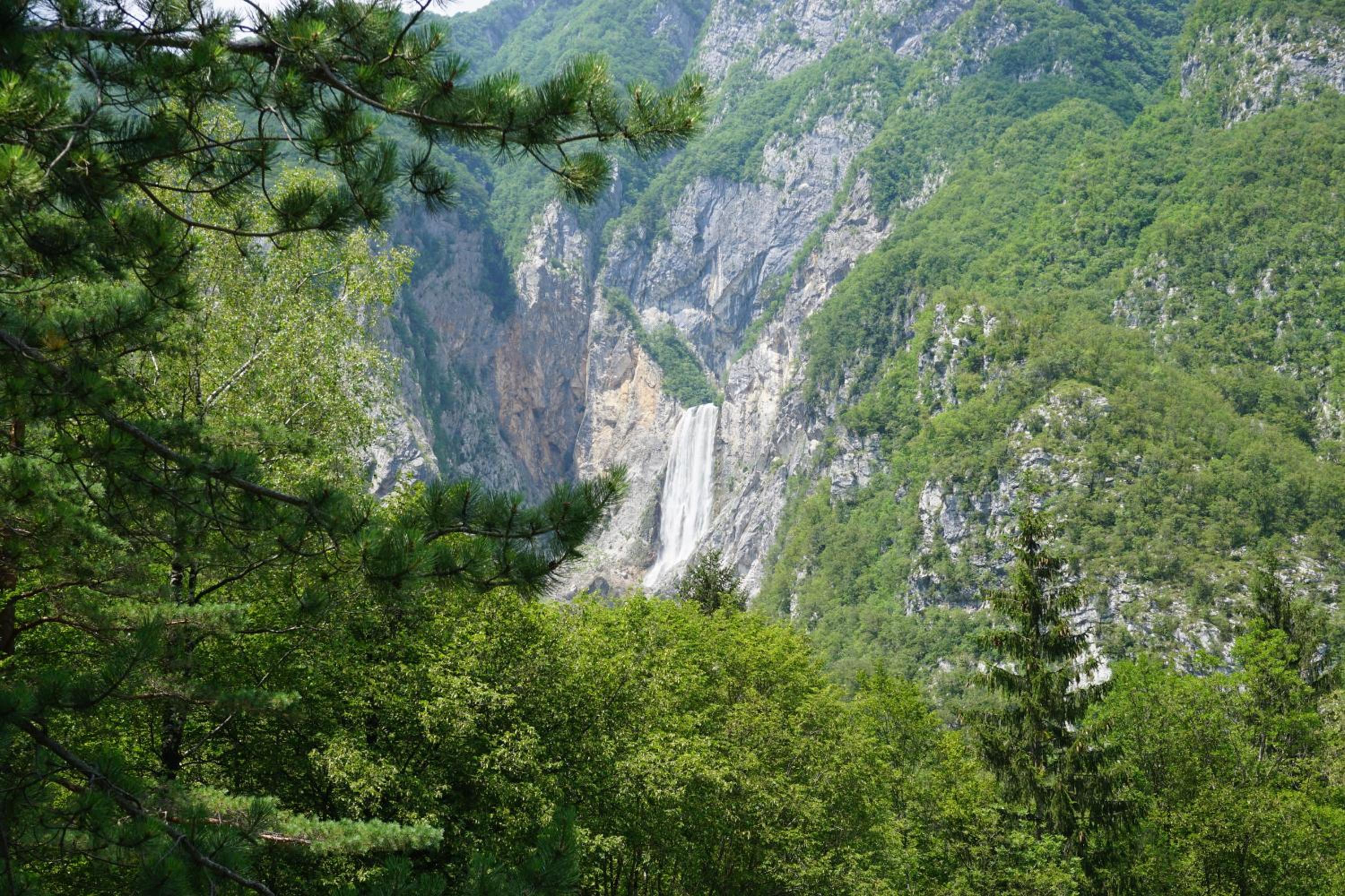 Photo 49