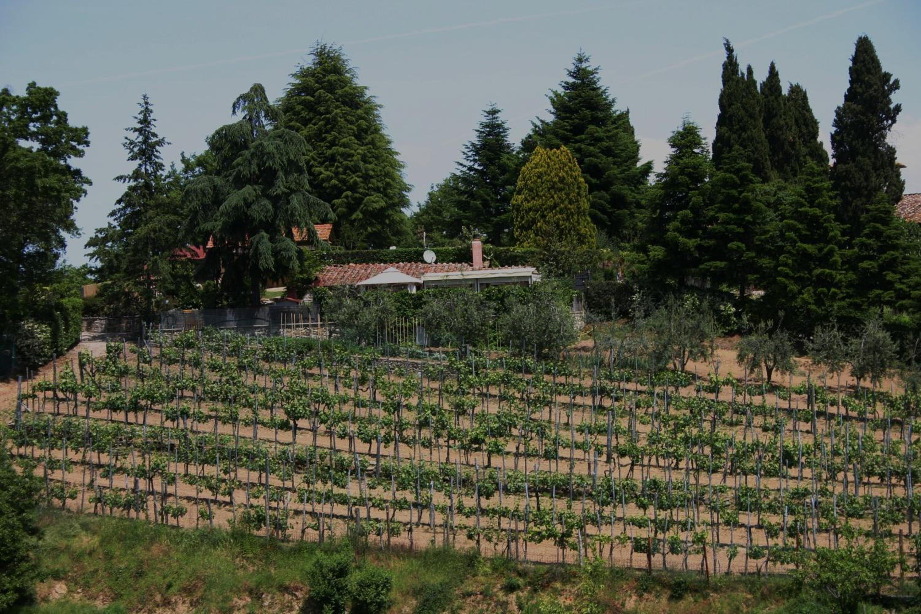 Agriturismo Podere La Fornace