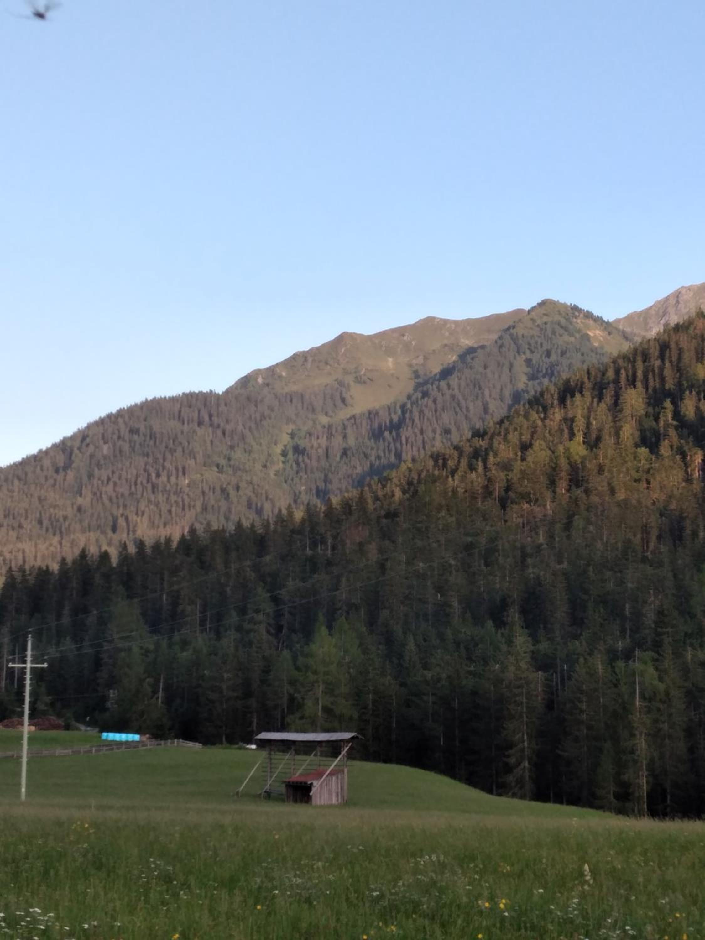 Photo 24