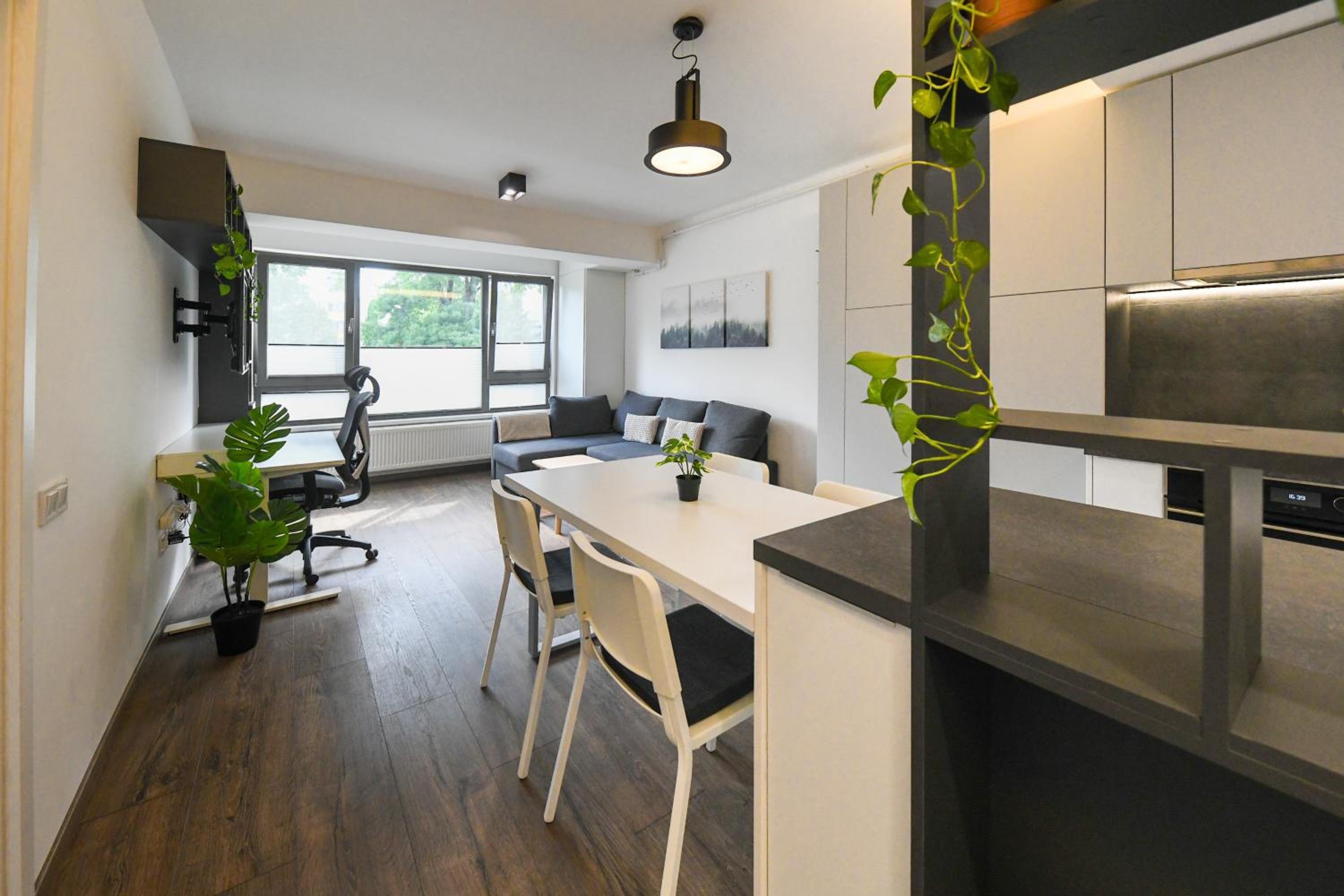 Modern Apartment in a Quiet Area
