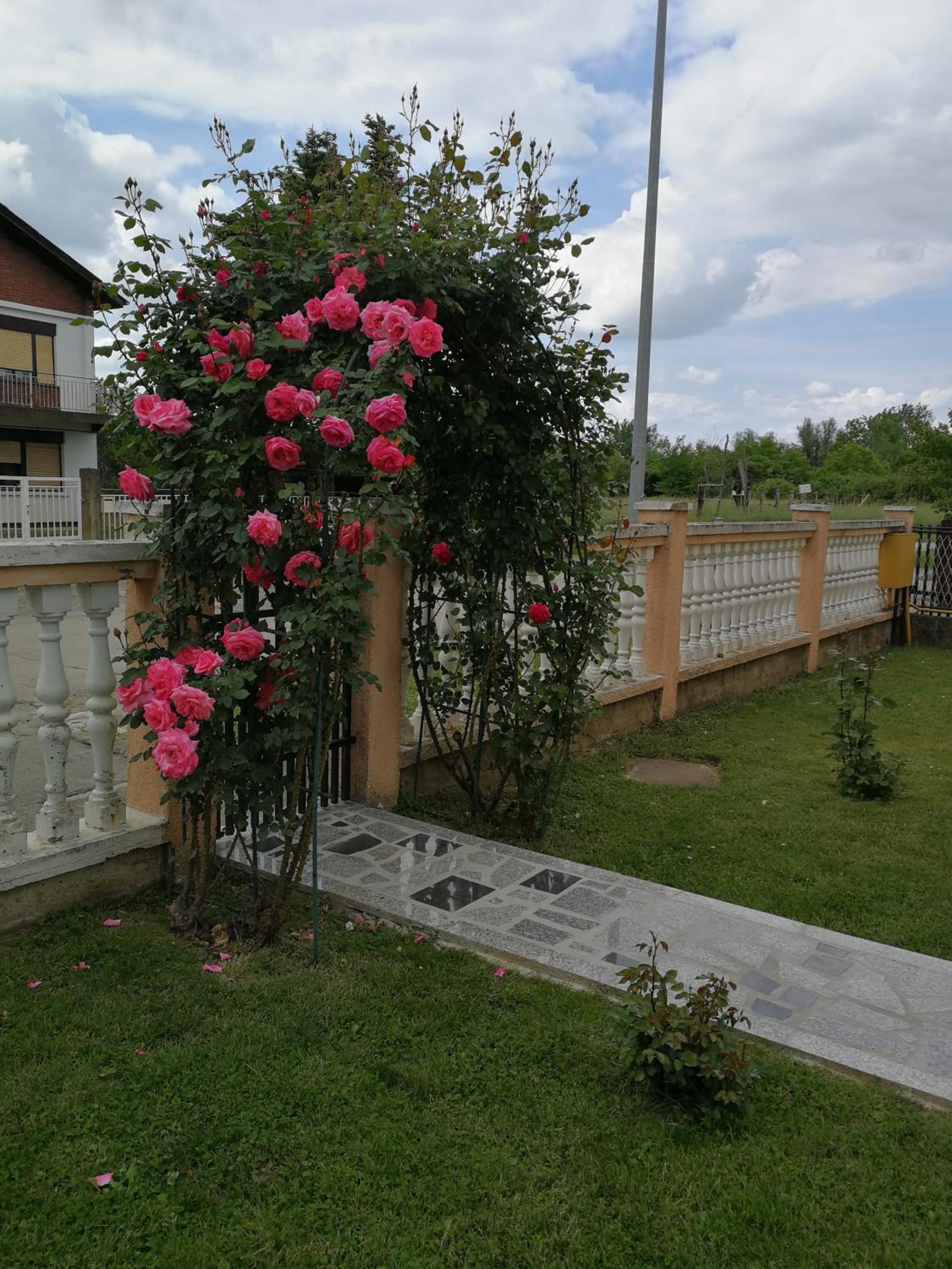 Photo 20