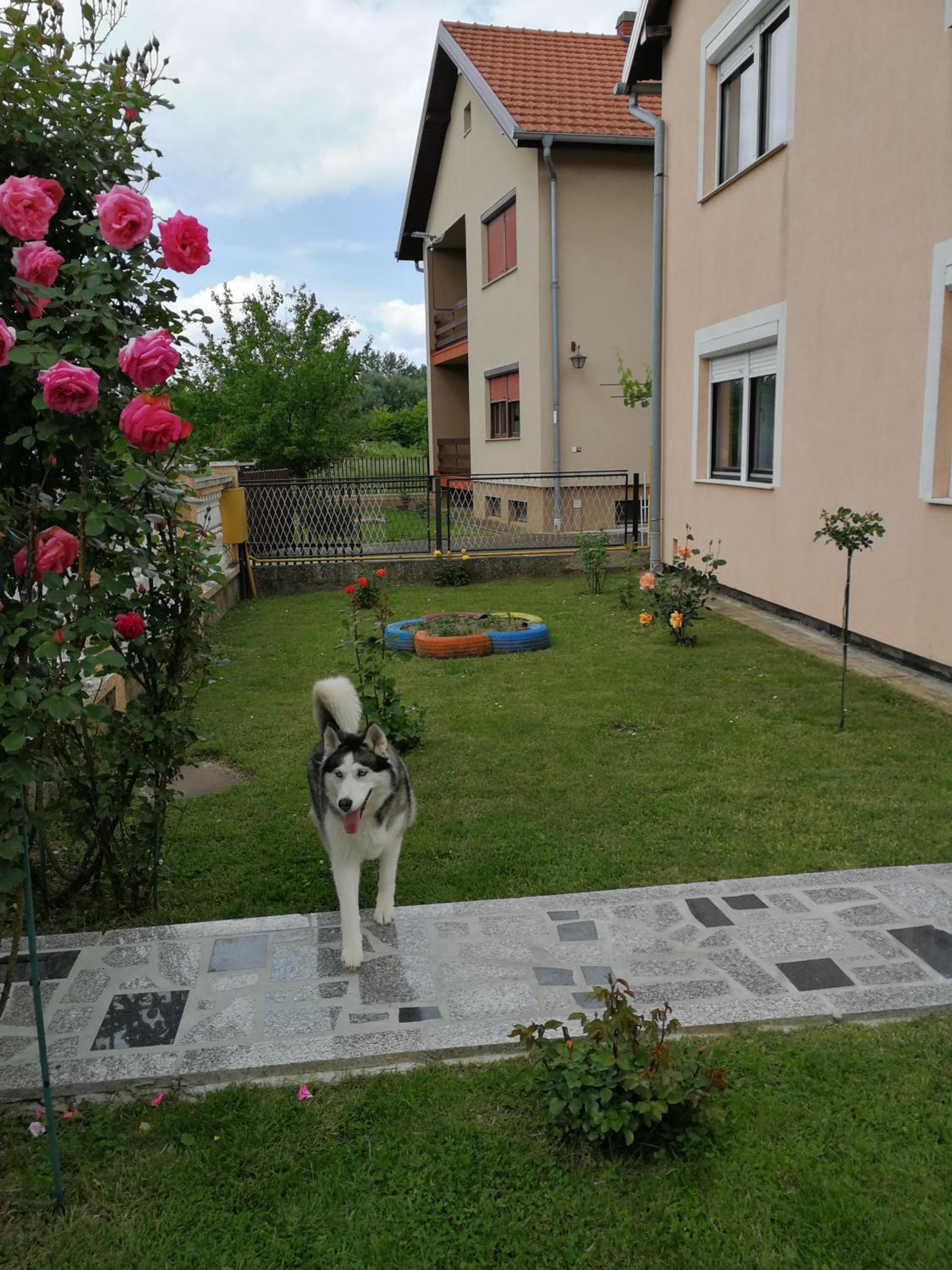 Photo 18