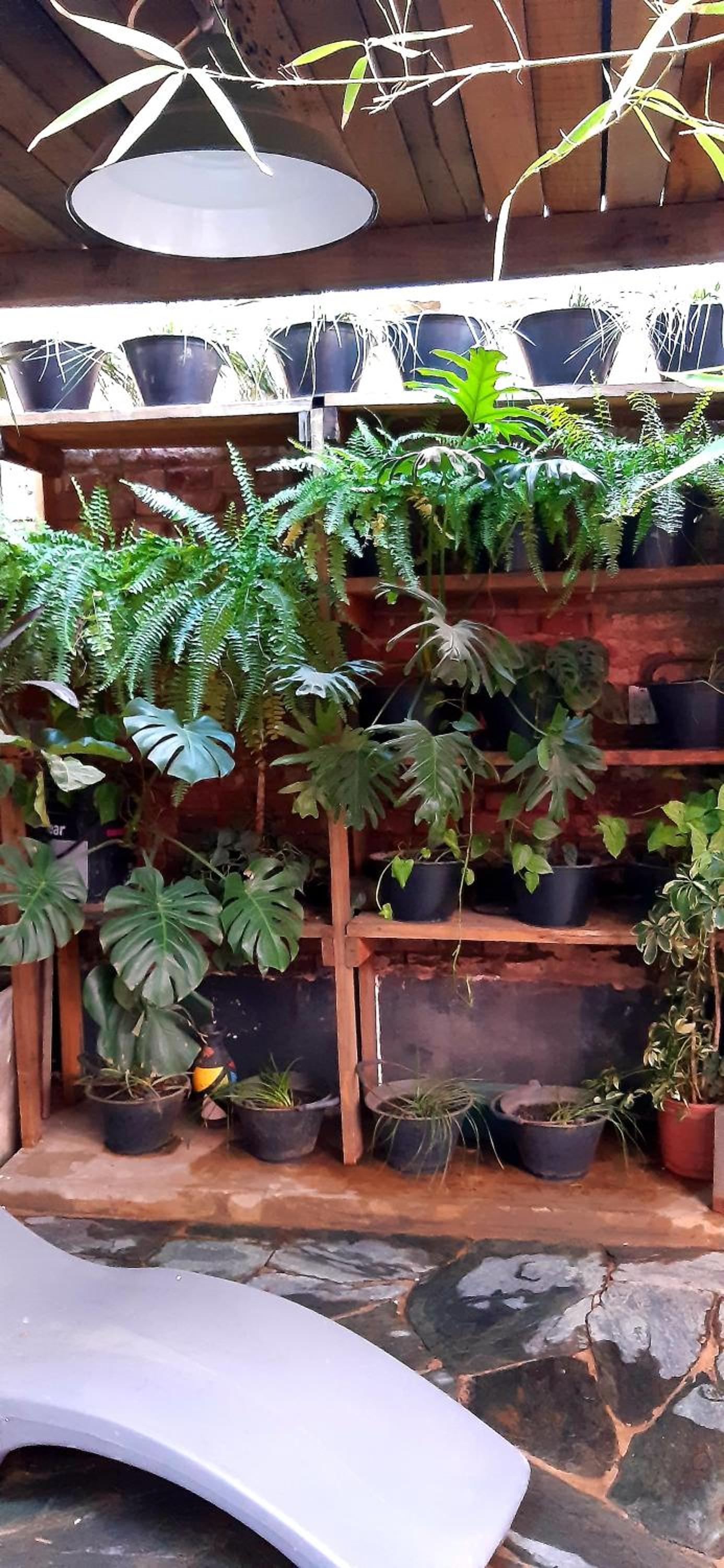 Bucanaan hostel boutique