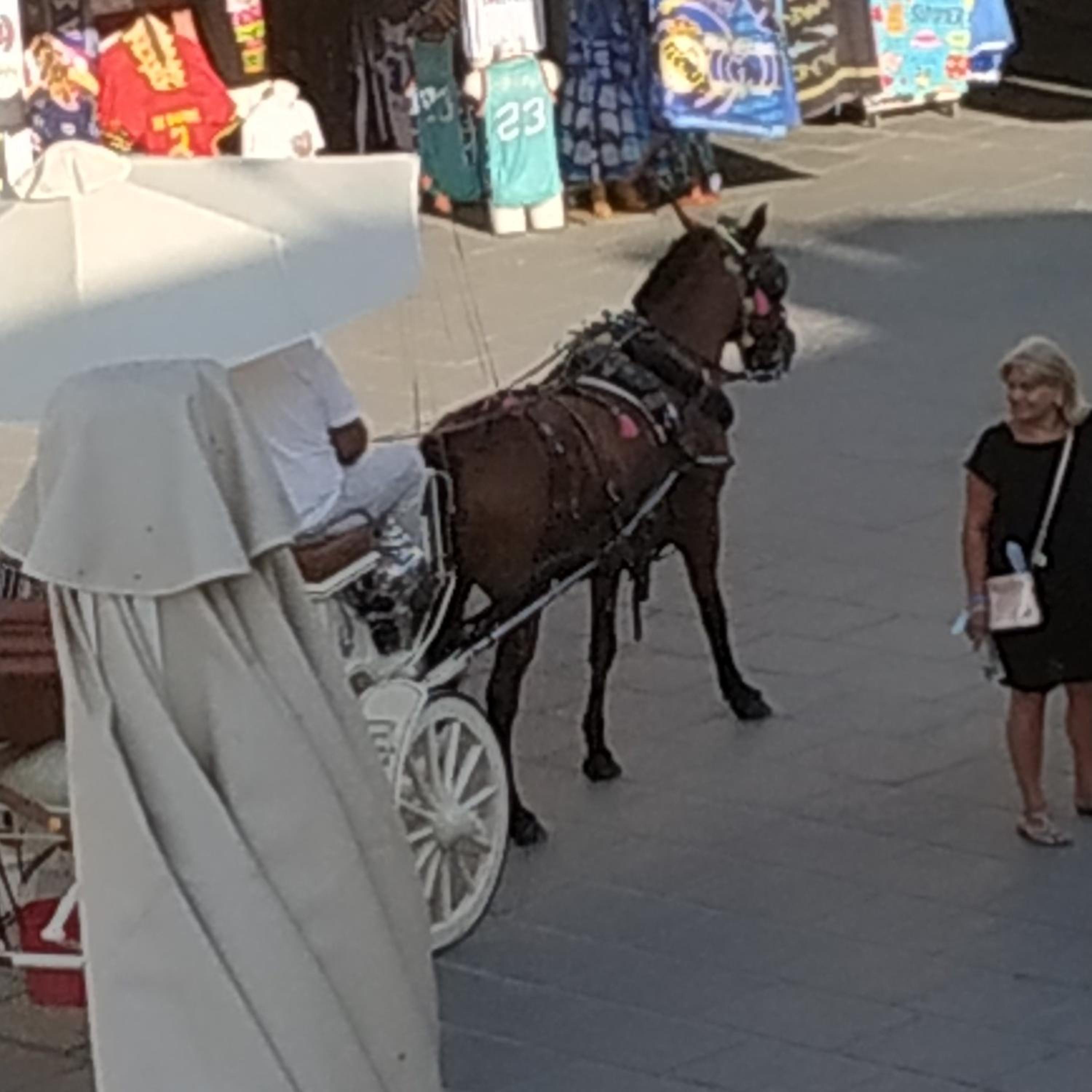 human