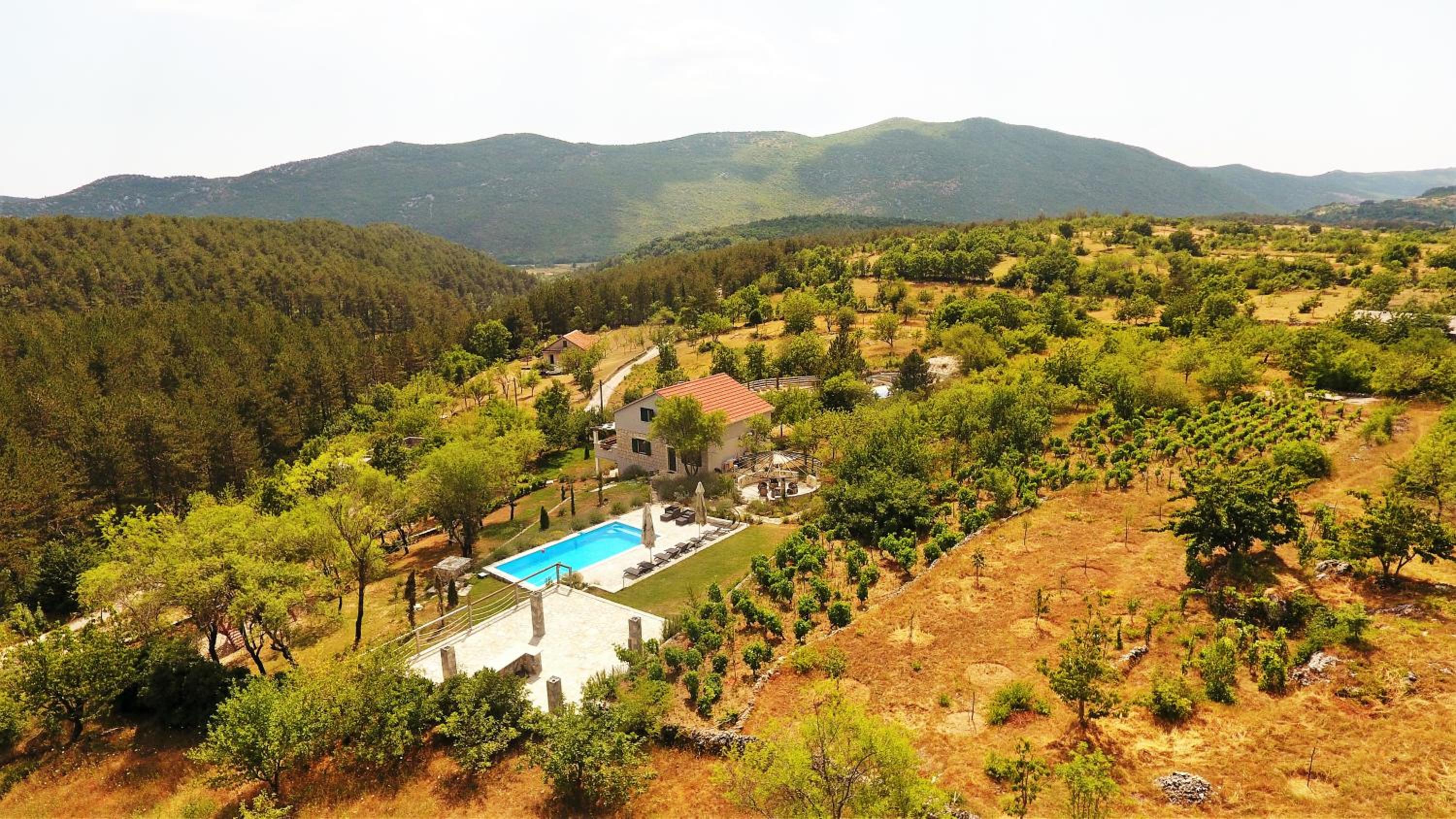 Photo 105