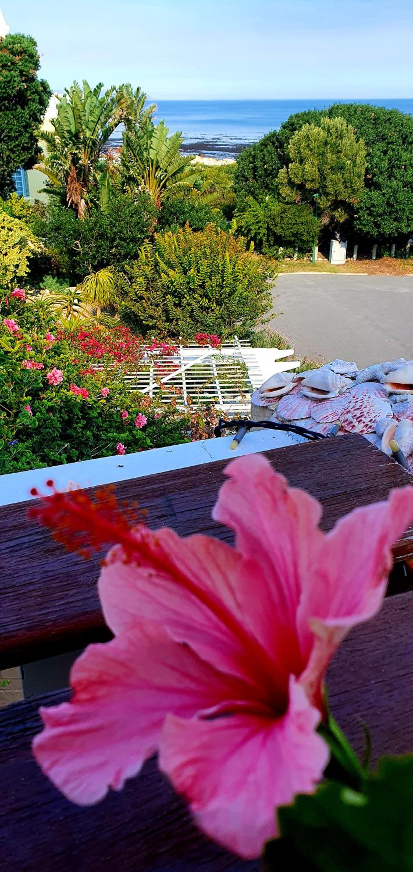 Belle Vue Guesthouse