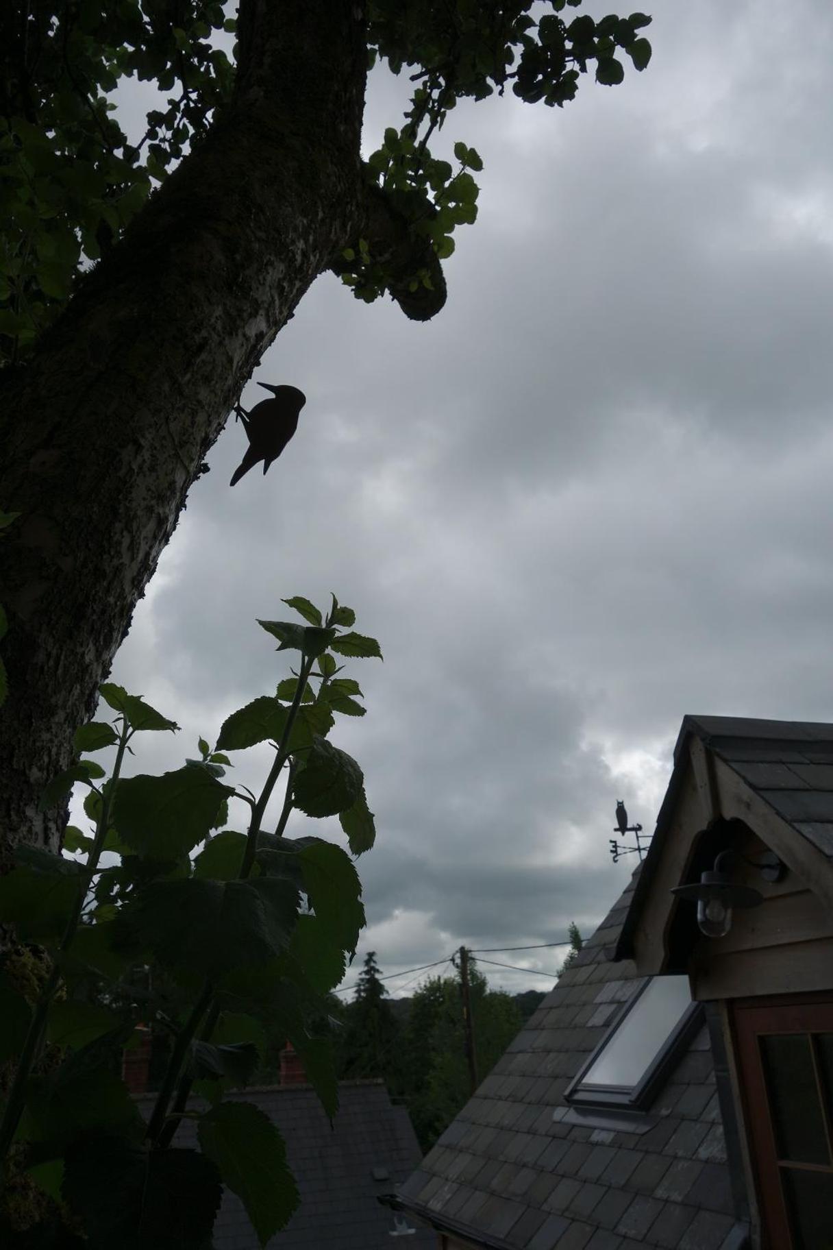 Photo 24
