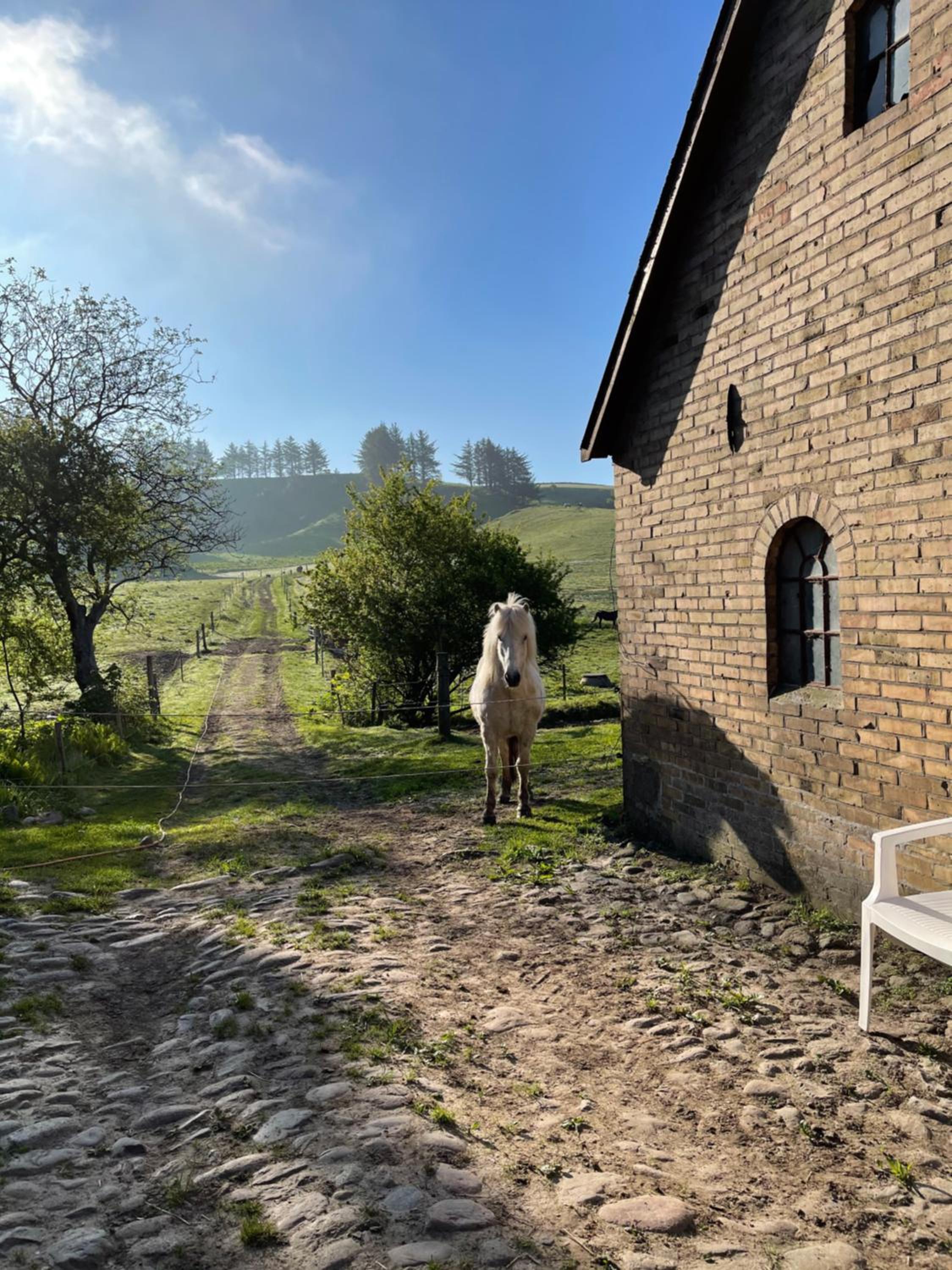 Store Stensig (landlig idyl ved Frederikshavn)