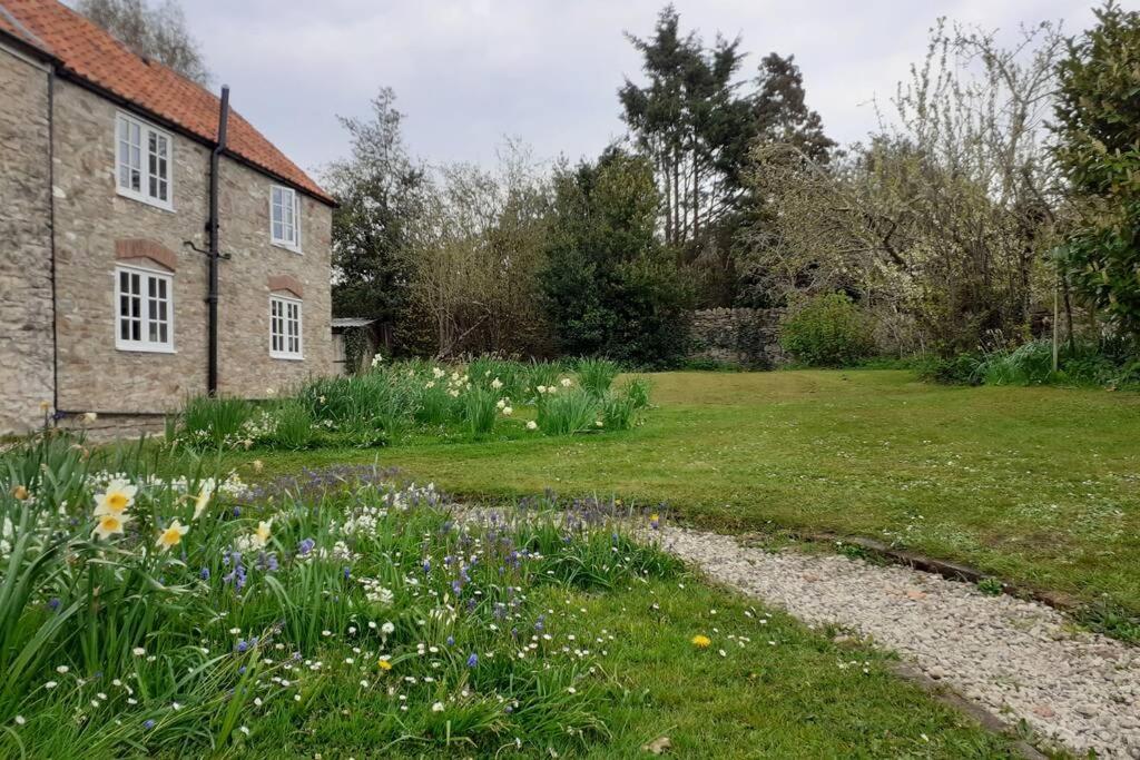 Characterful Cottage adjacent to an Orchard view 4