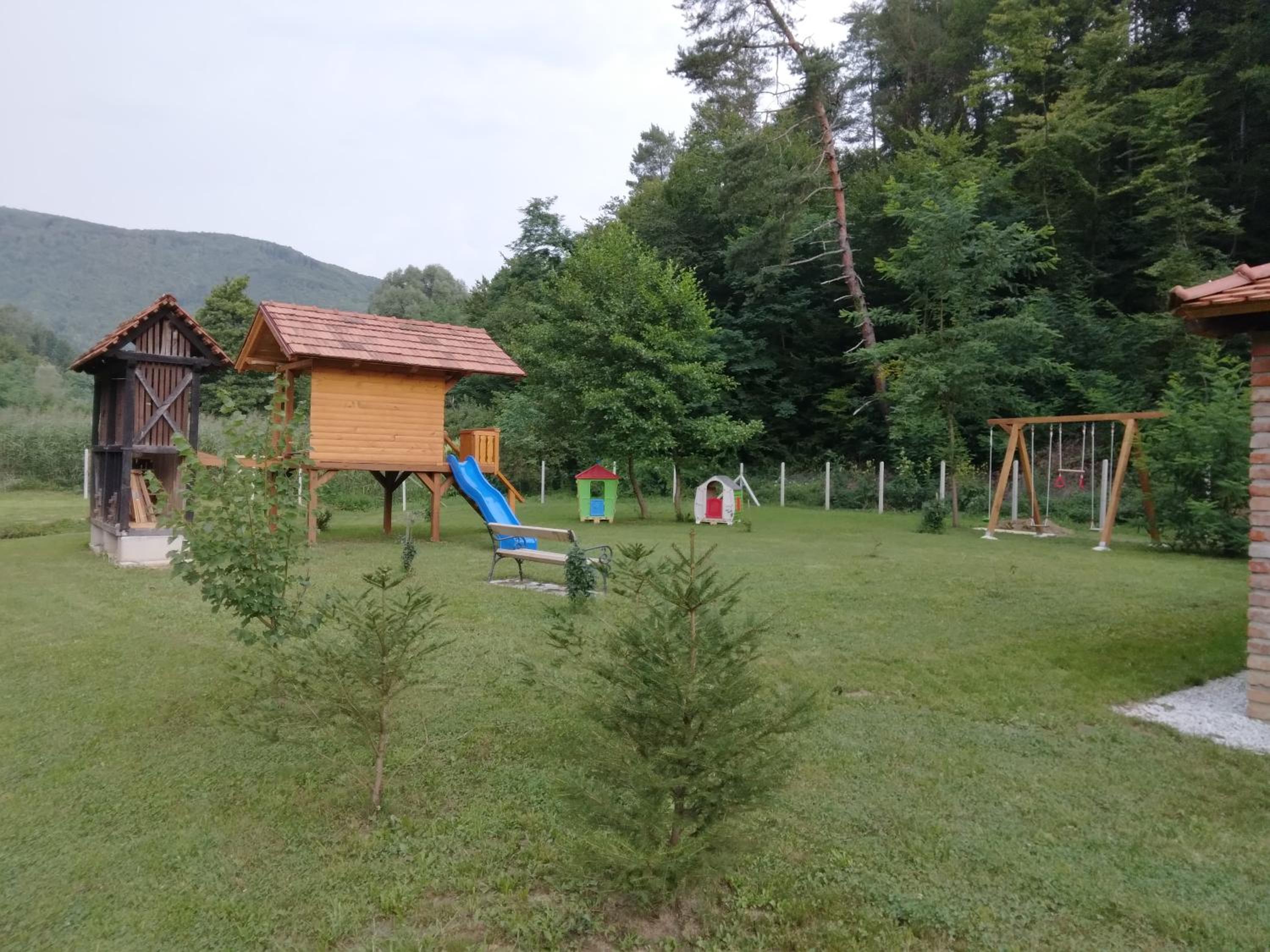 Photo 50