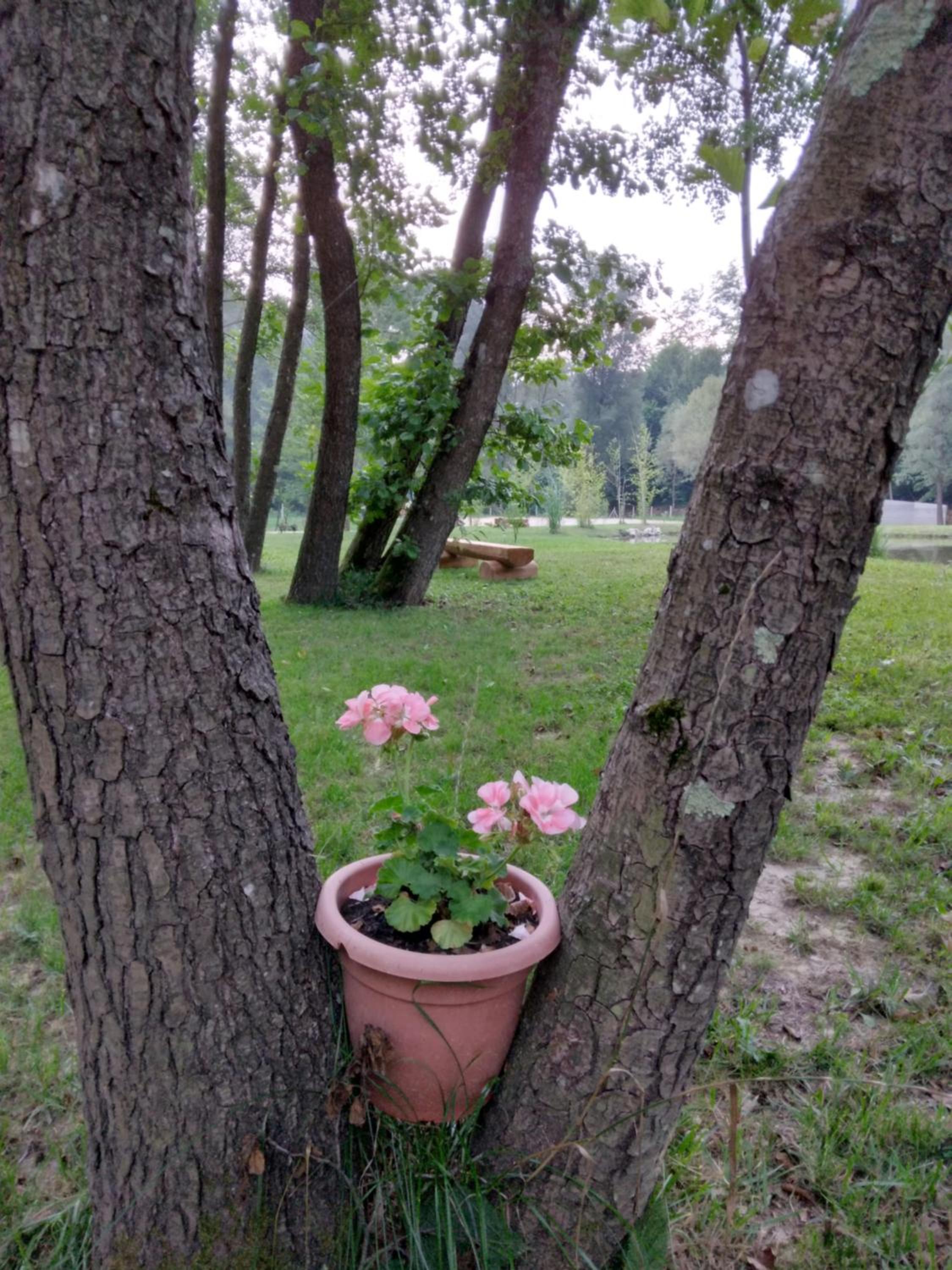 Photo 53
