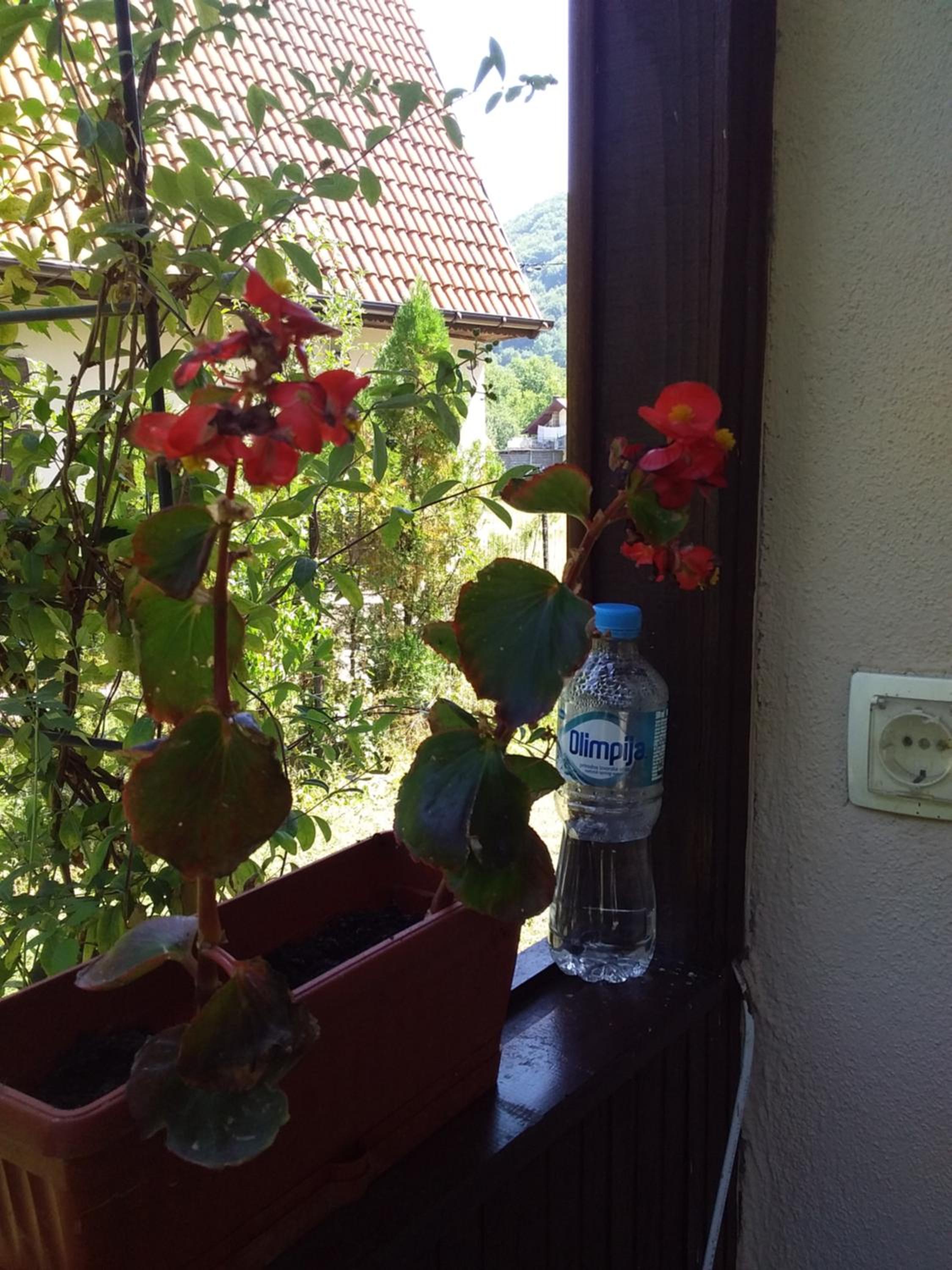 Tamaris Holiday Home