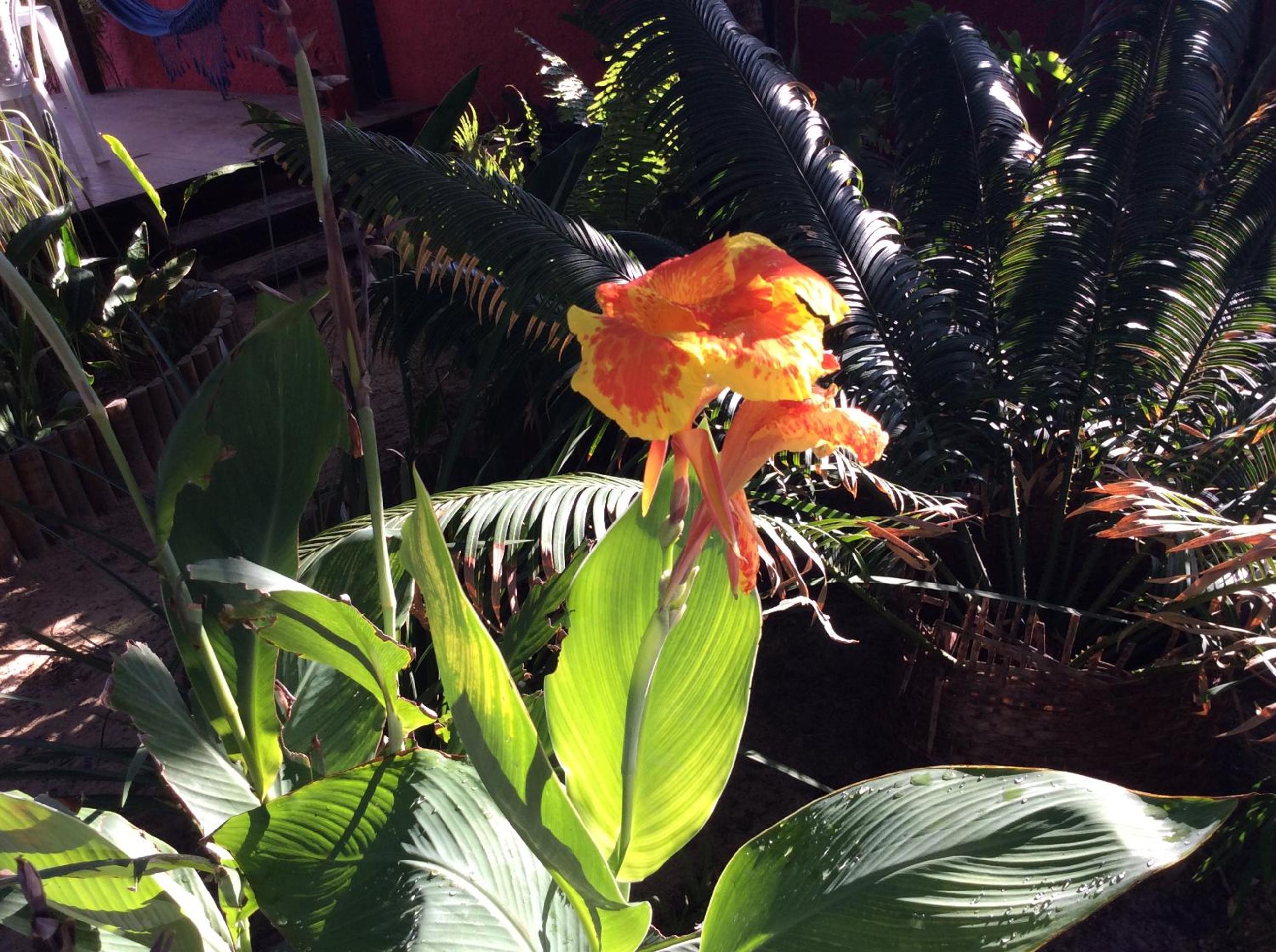 Casa do Jardim- Villa Botanica