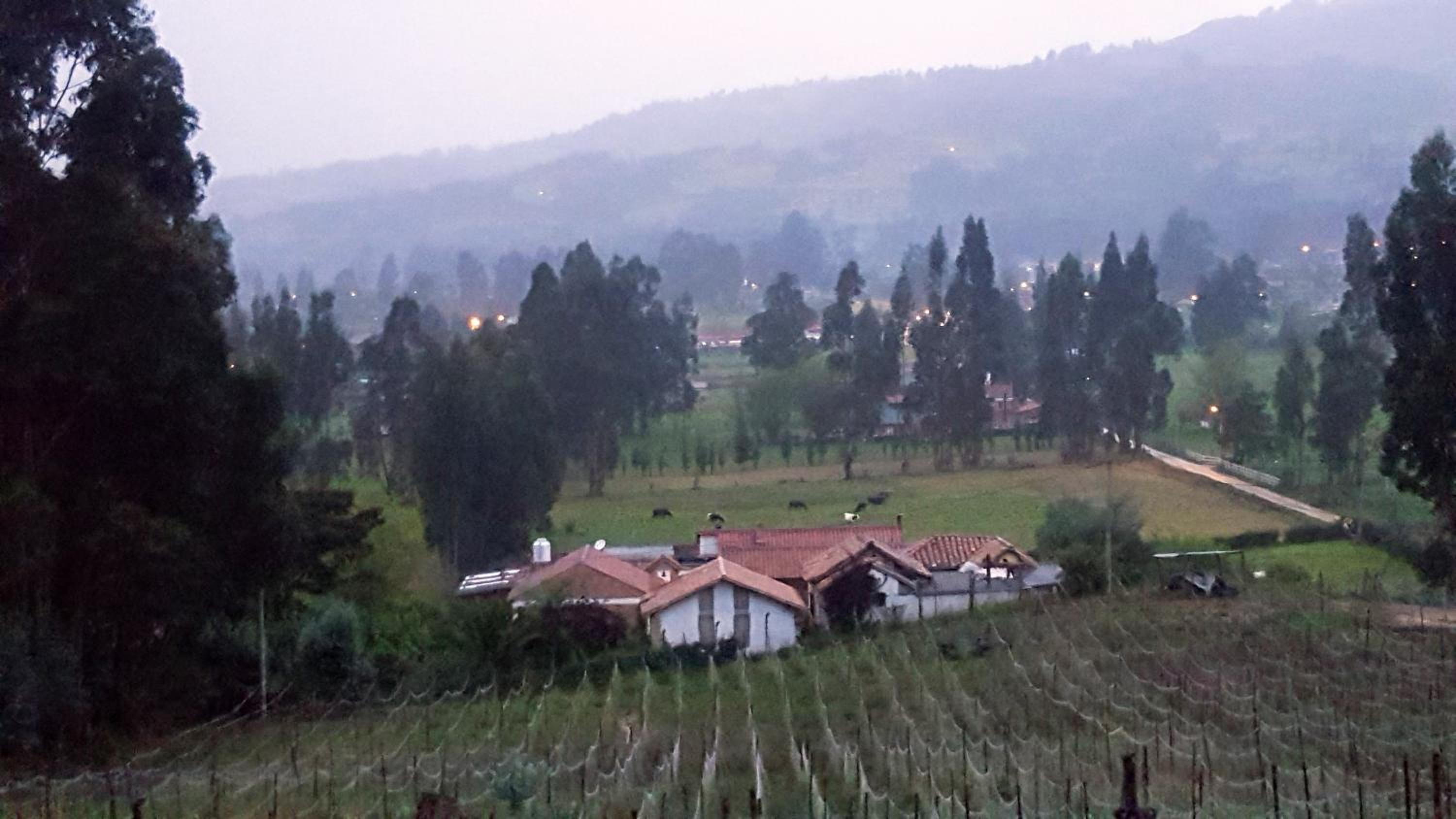 D'Antaño