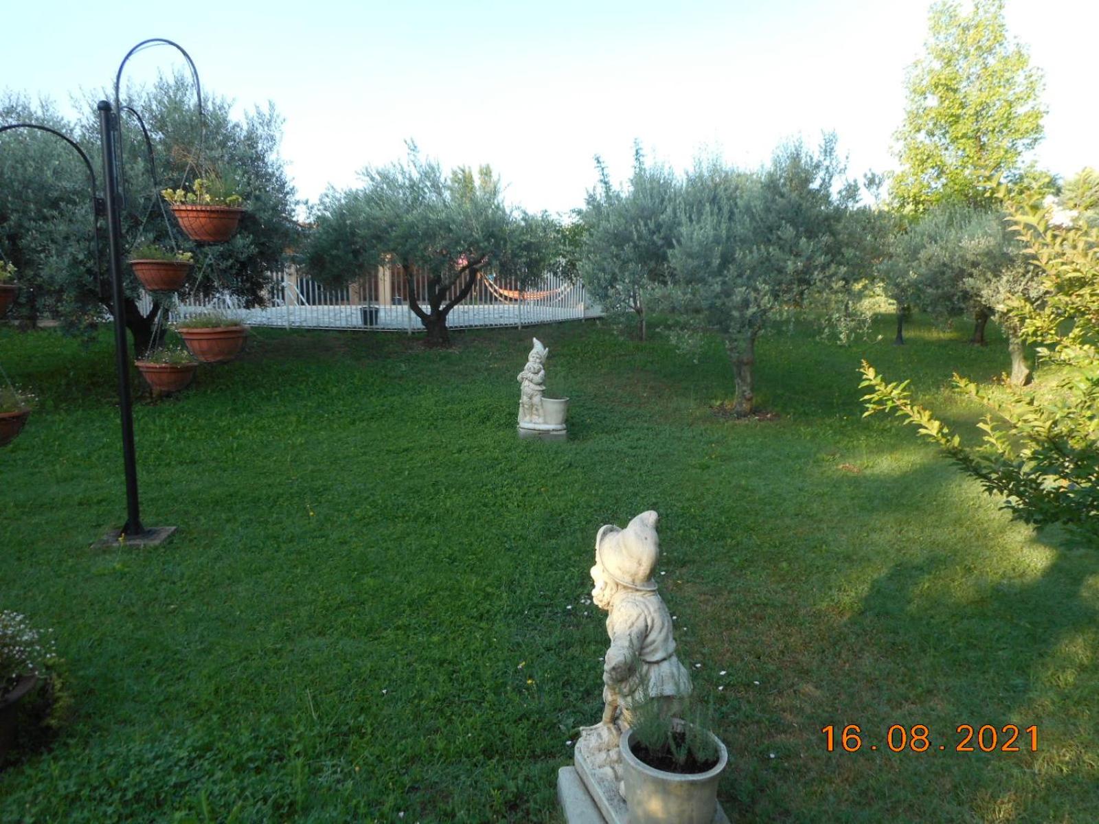 Photo 45