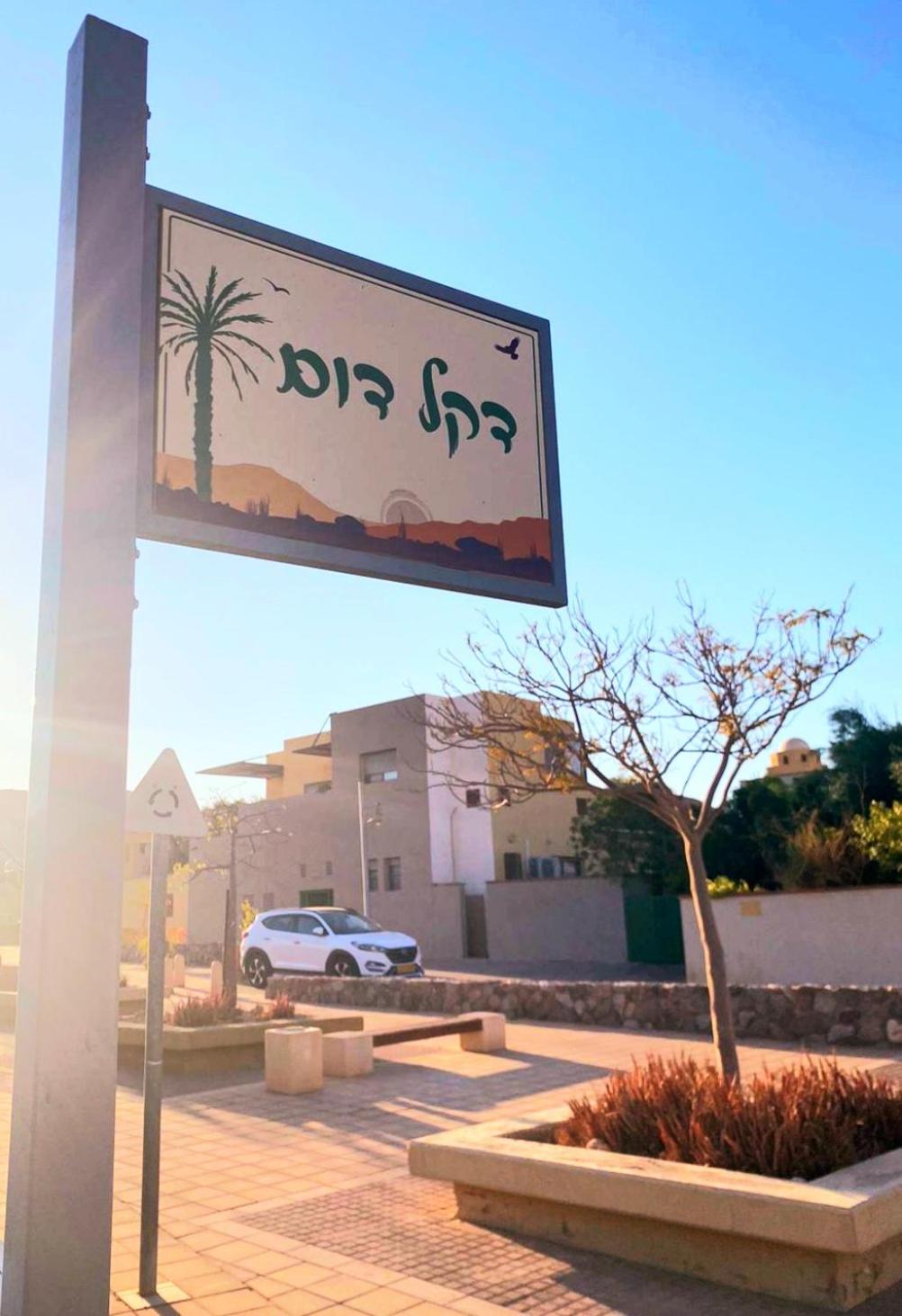 פנינת הדקל בבאר אורה view 4