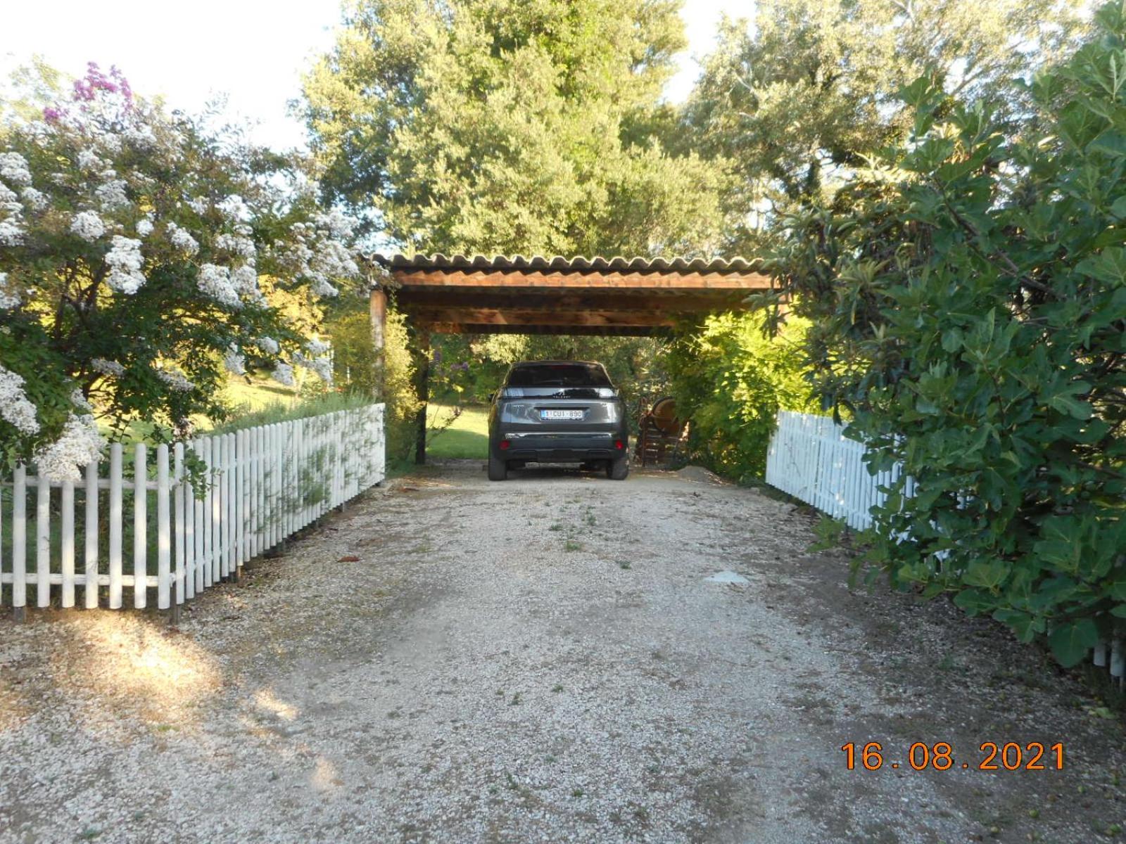 Photo 22