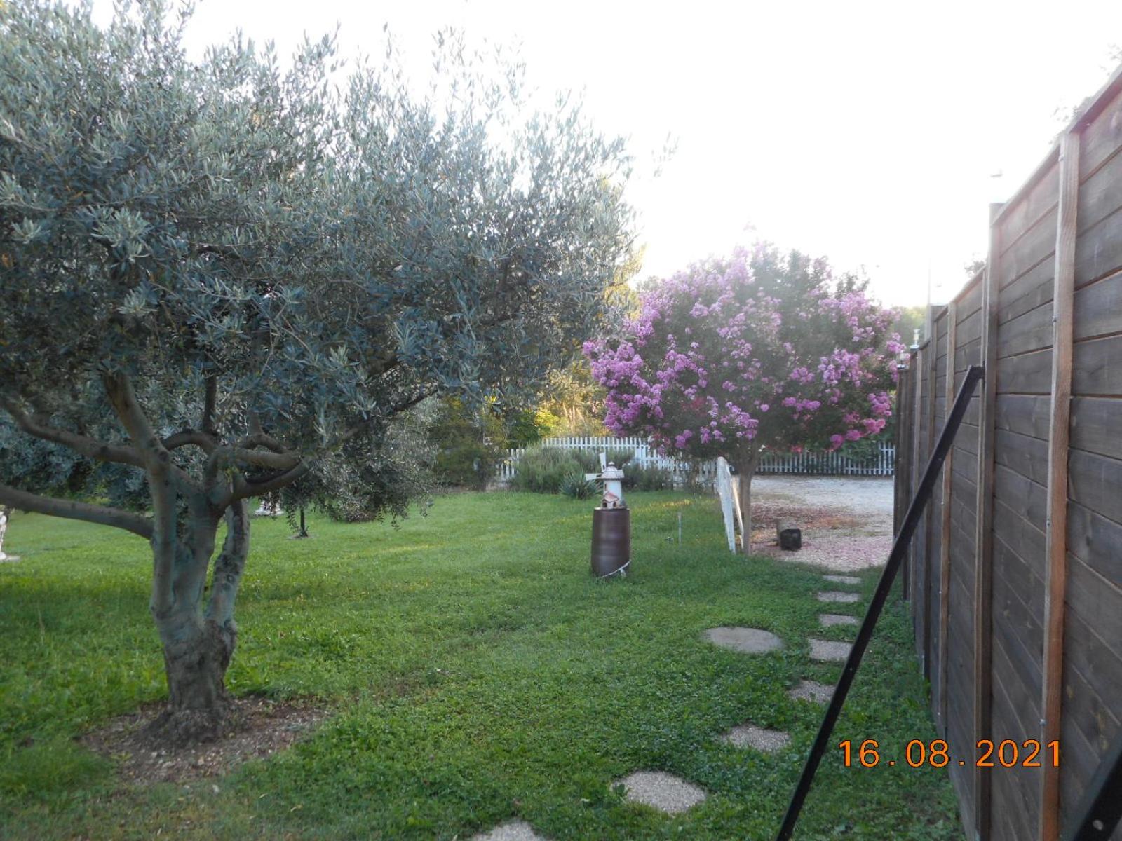 Photo 29