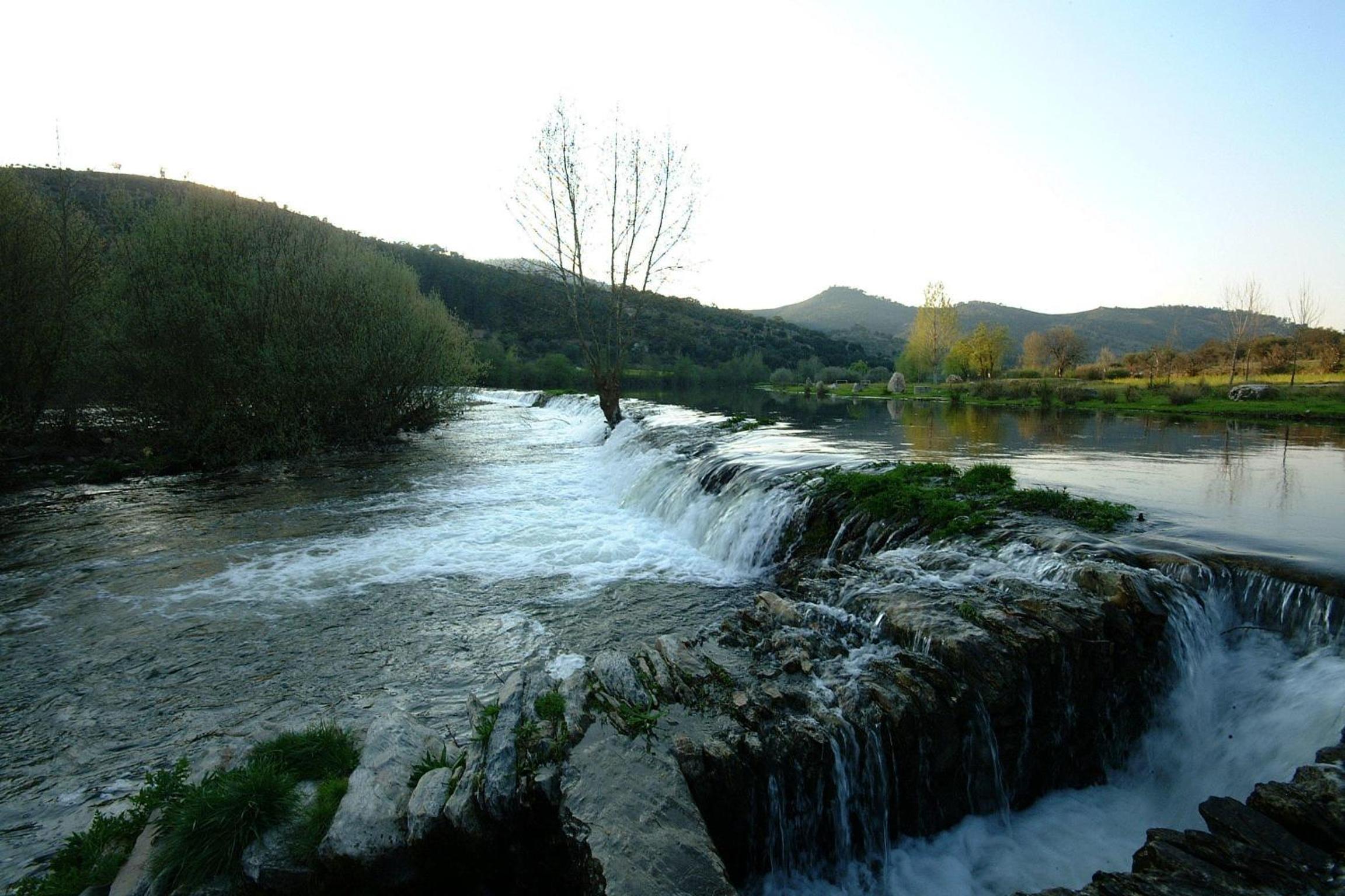 Photo 37
