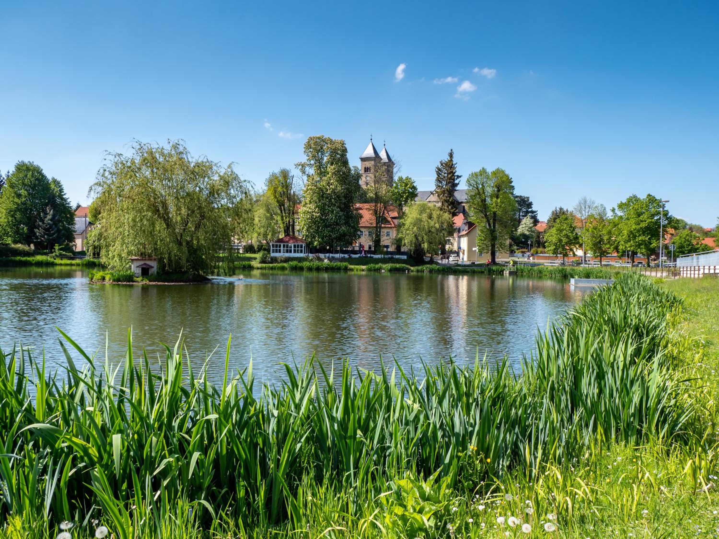 Ferienwohnung Am Kurpark