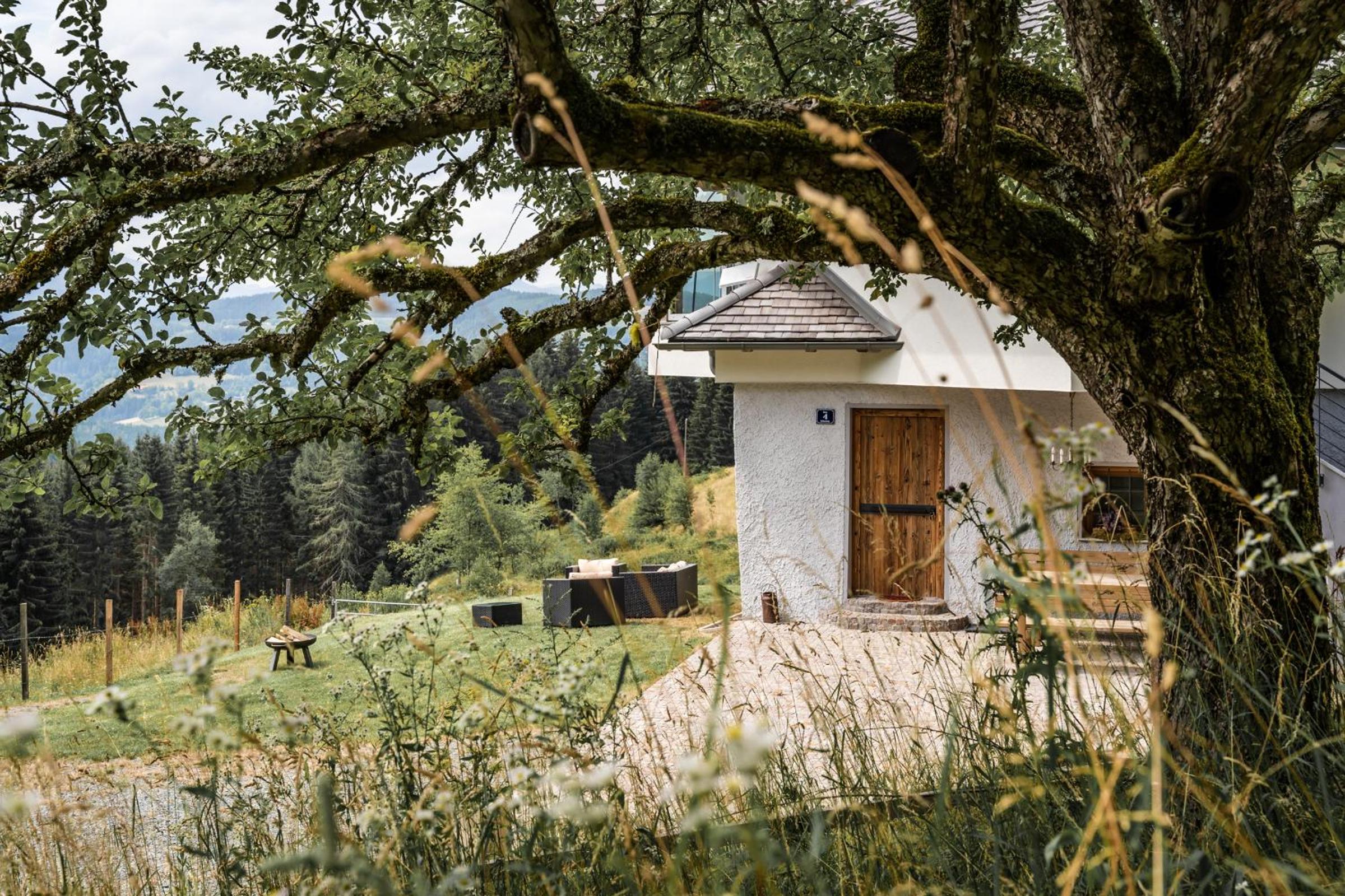 Forsthaus Gray 4