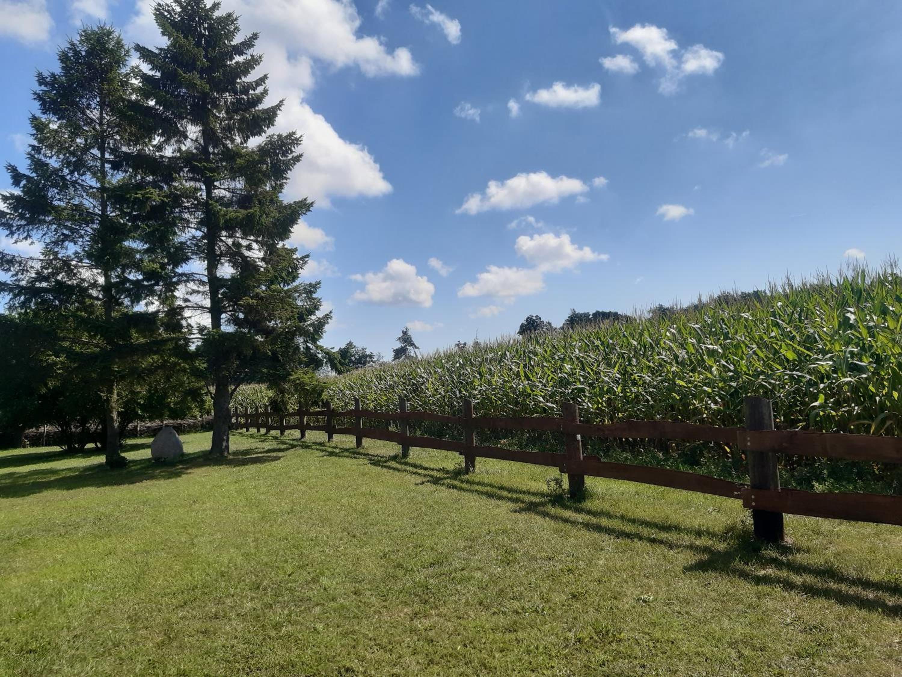 Ferienwohnung Wald und Weitblick view 2