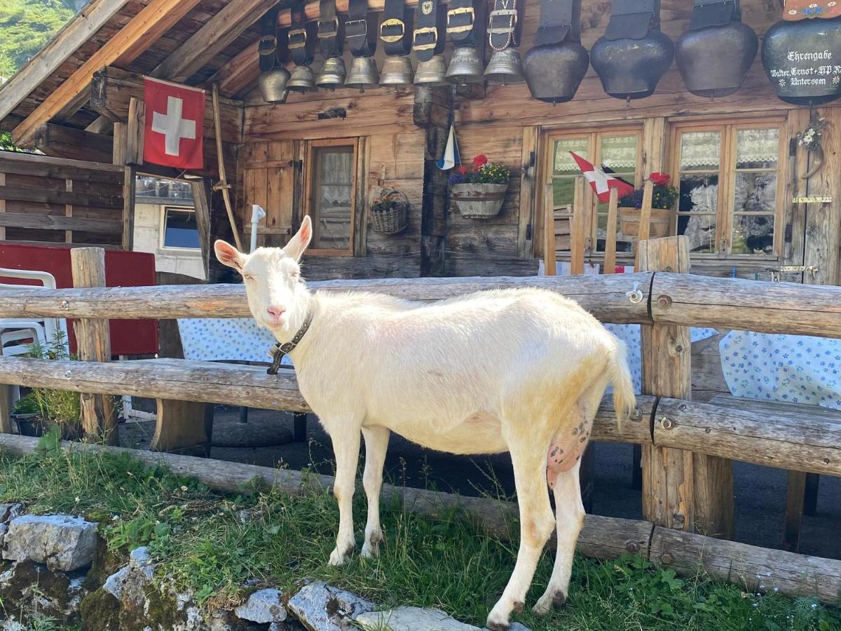 Chalet Tannegg