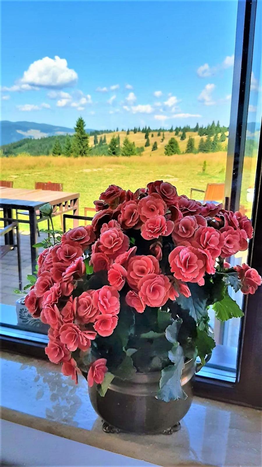 Pensiunea Karola