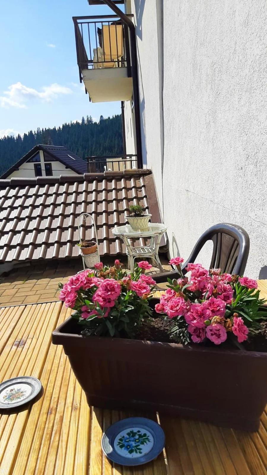 Pensiunea Karola