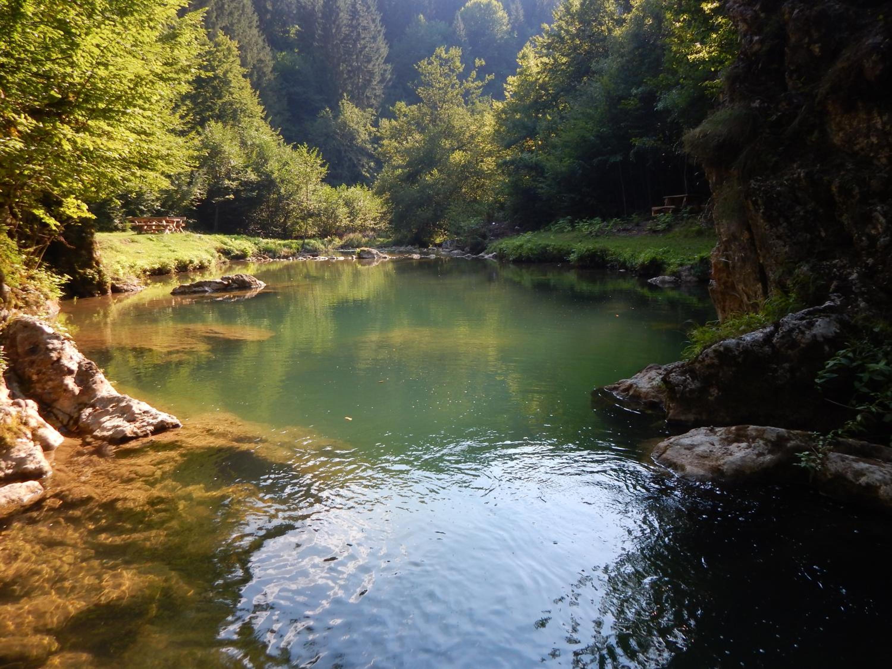 Photo 44