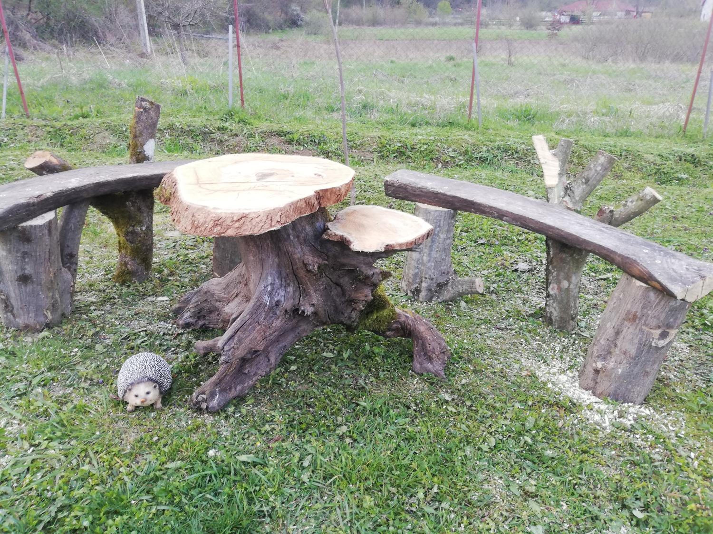 Photo 16