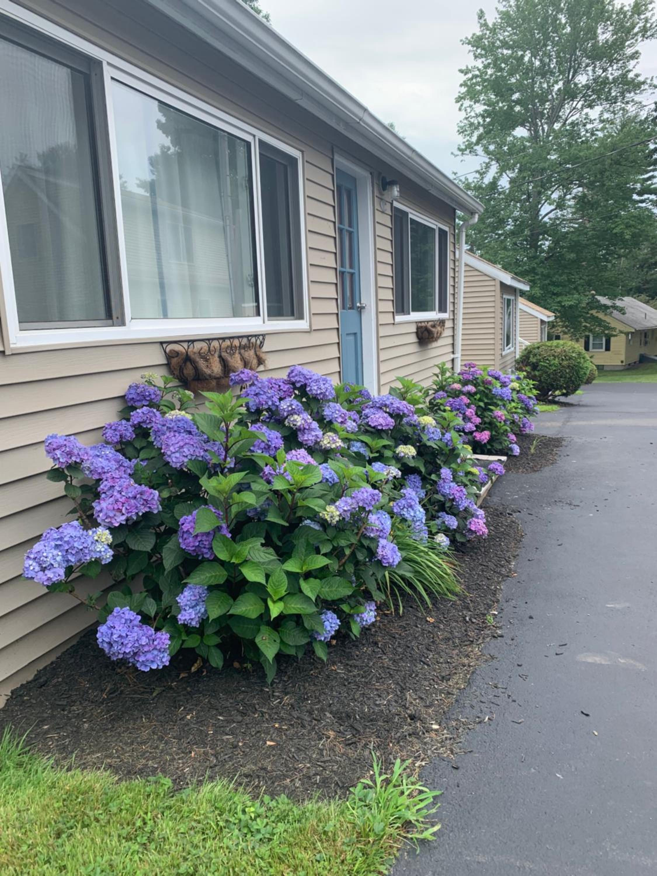 Northeaster Motel - Property Image 26