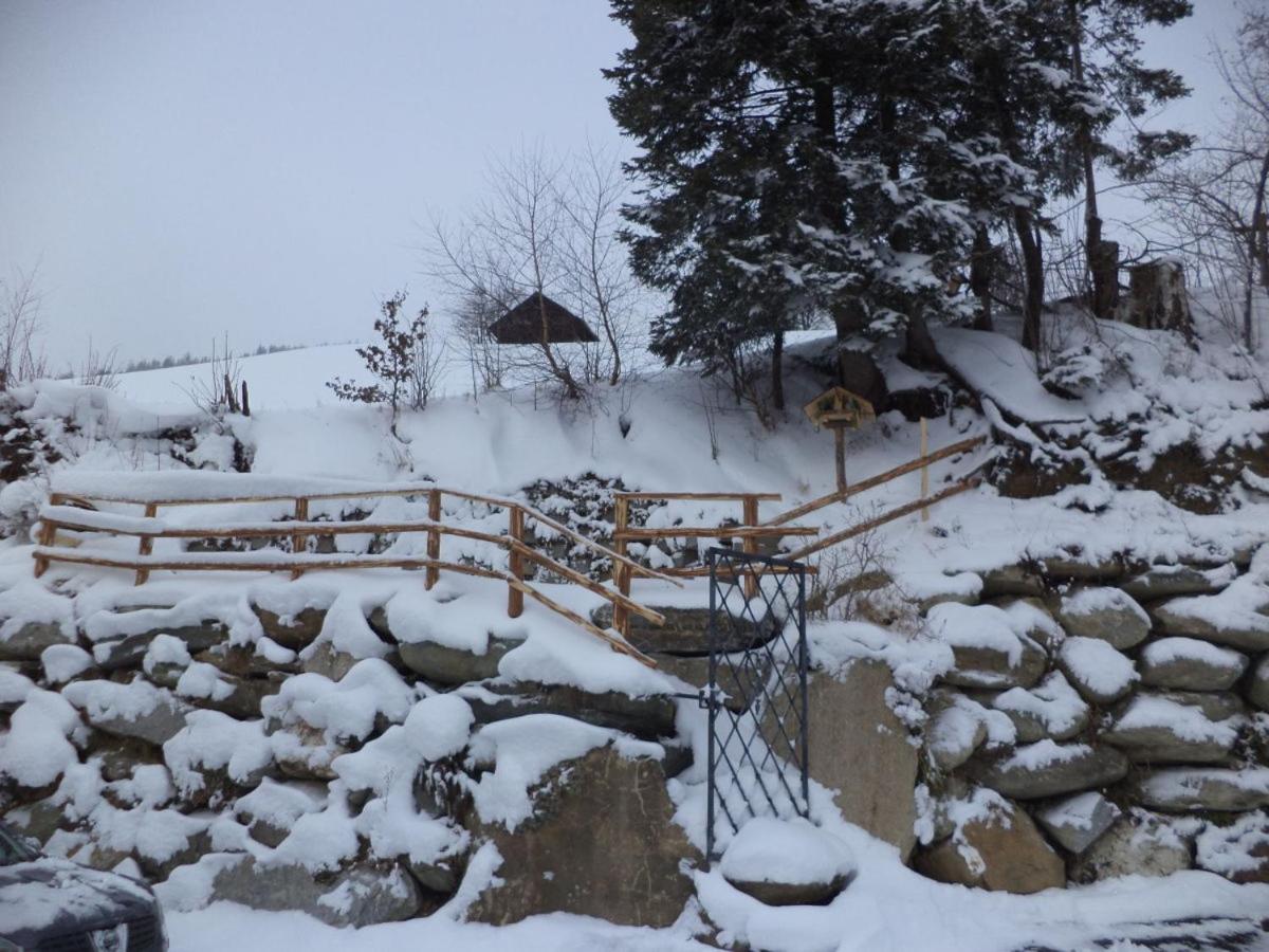 Panorama Ferienhaus Ematberg mit Bergblick und Sauna