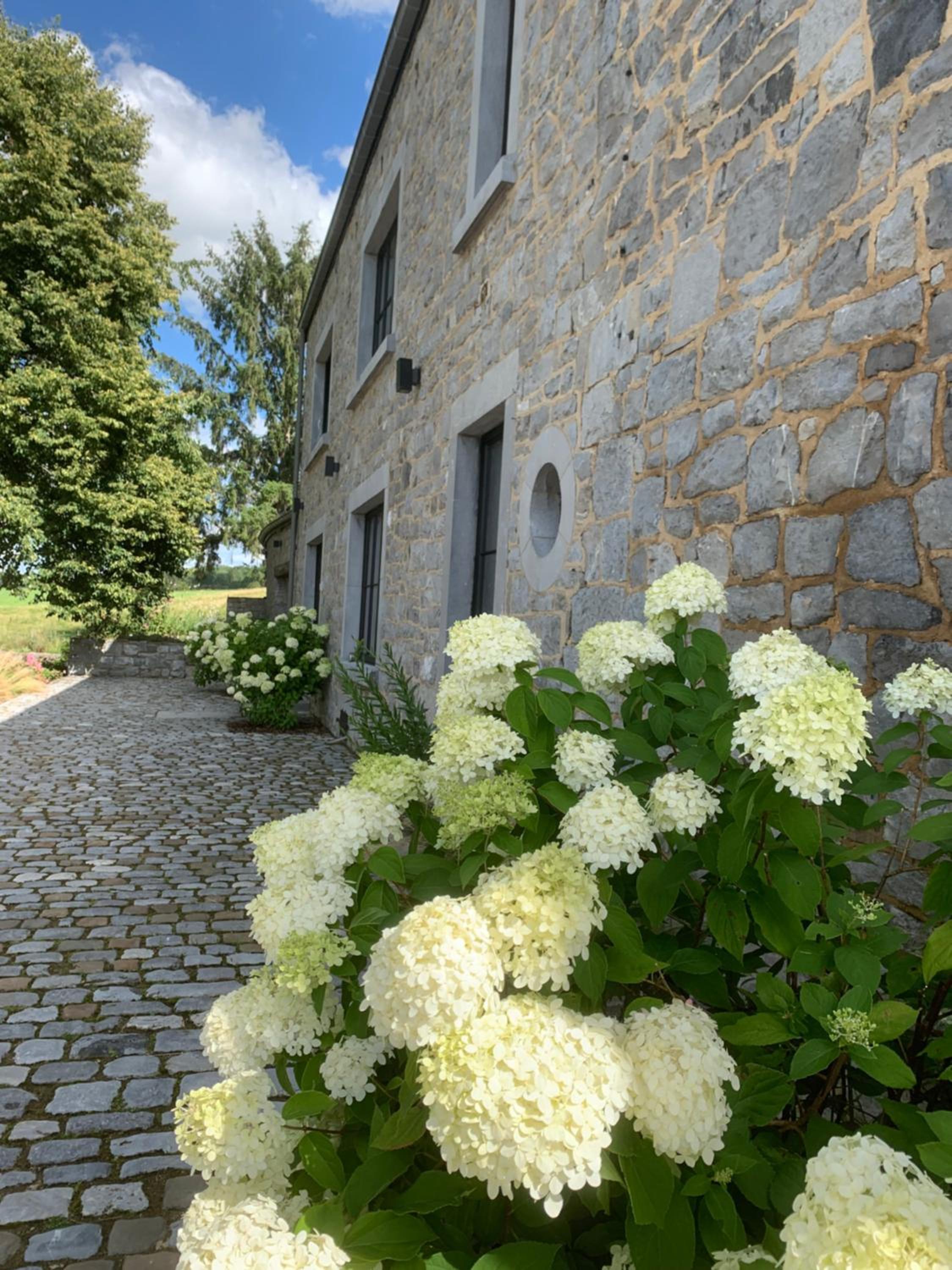 La cachette dans le verger
