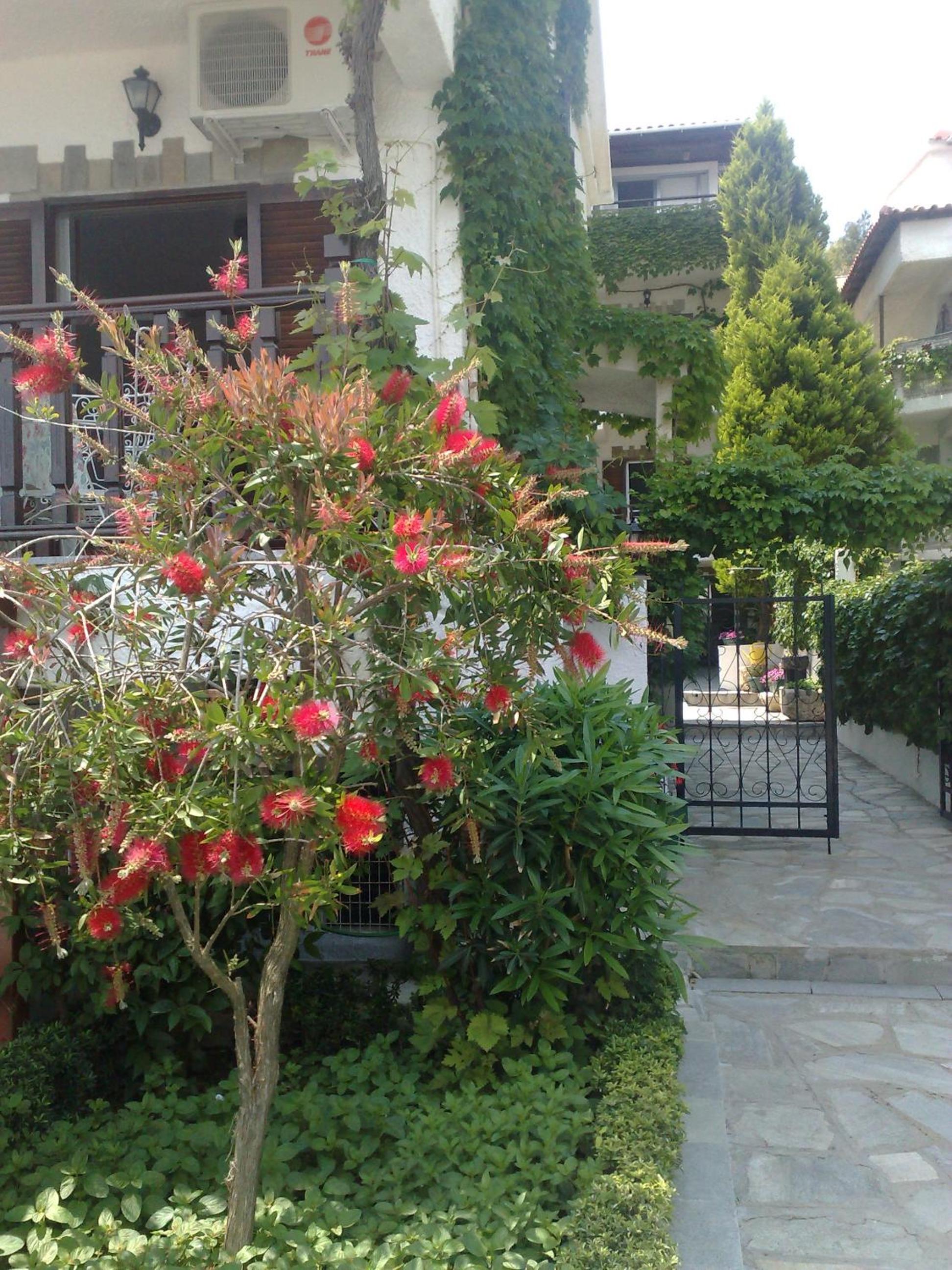 Photo 28