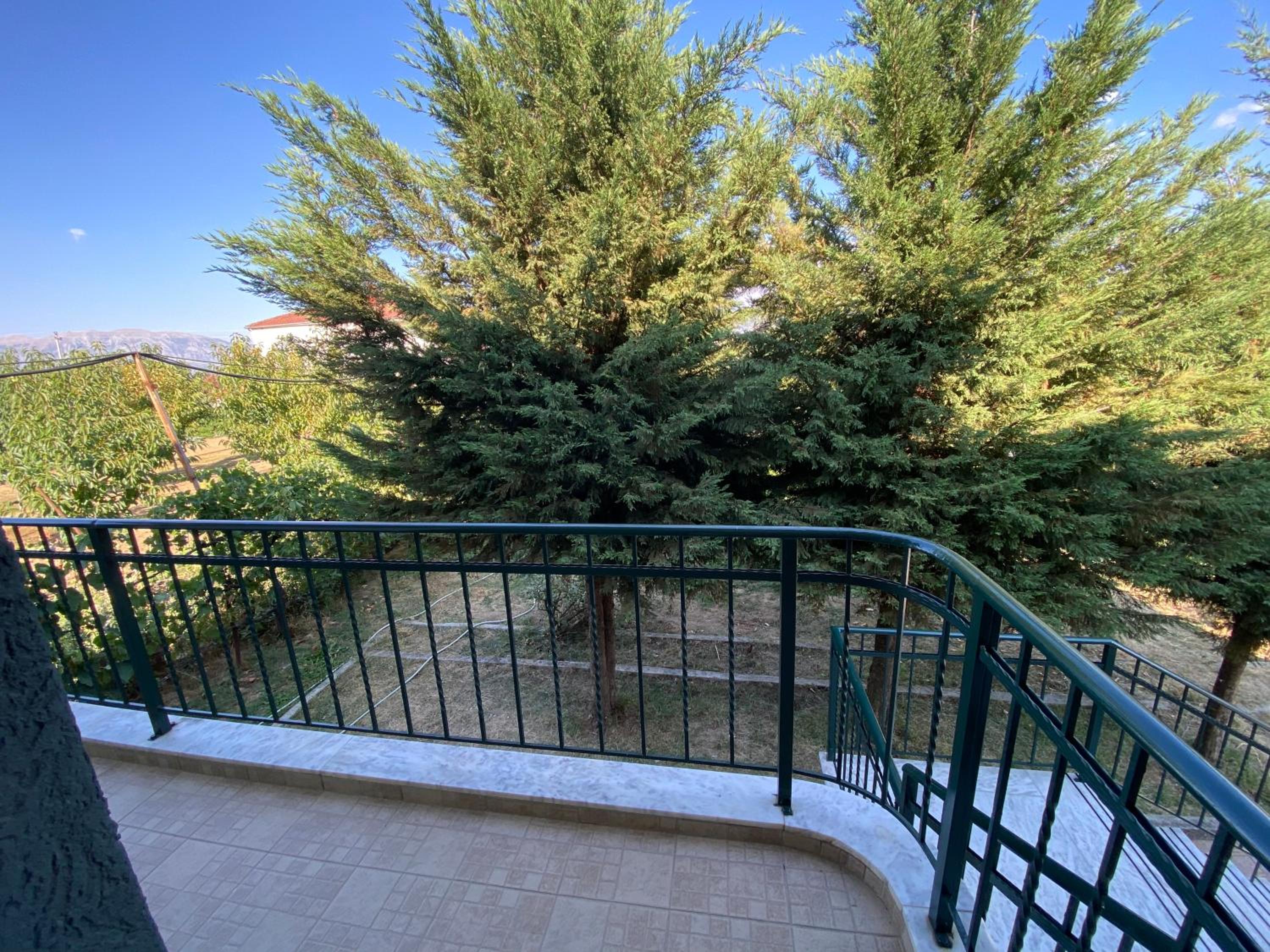Green Villa