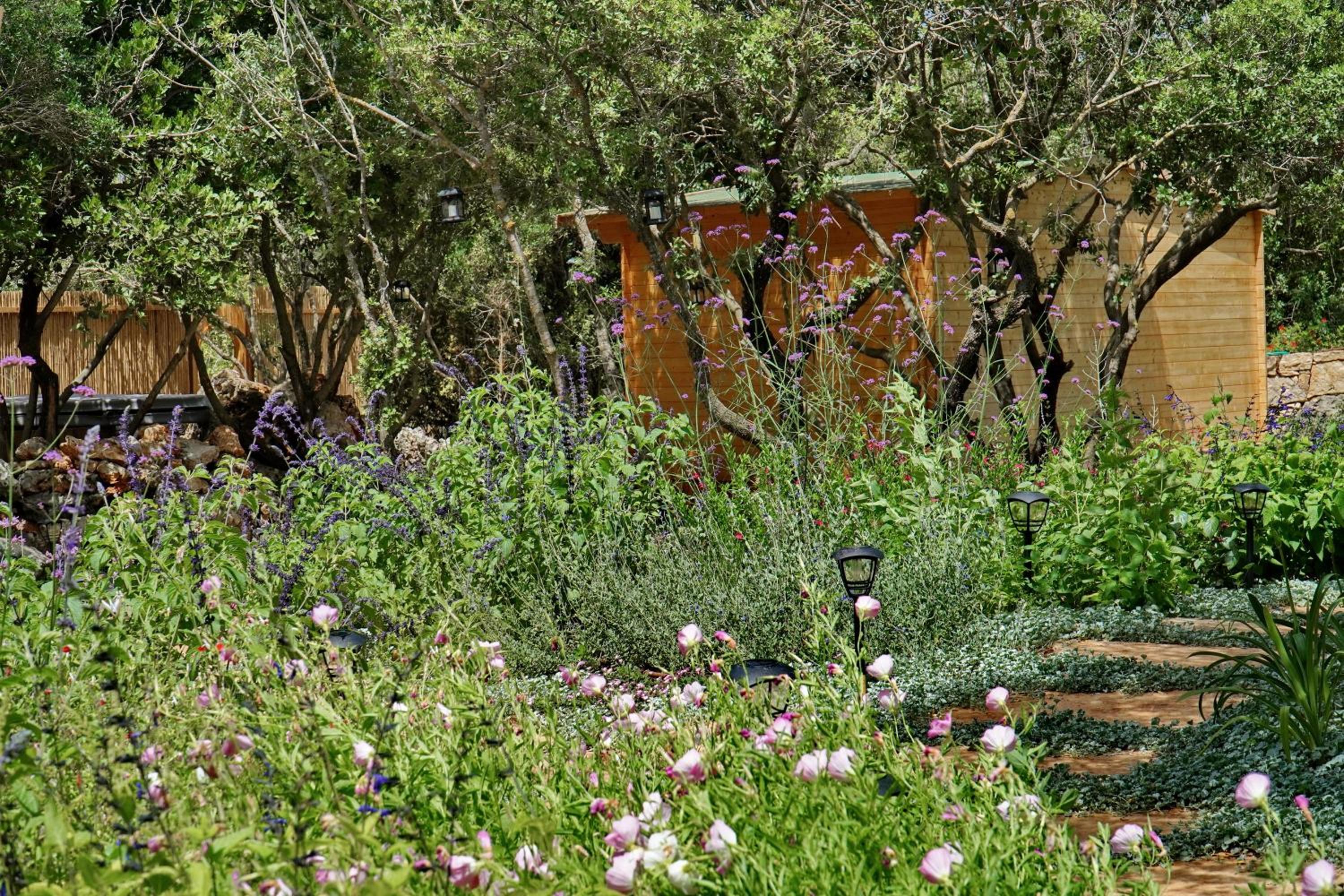 בקתות בית מאיר אבירים - זמן בריאה, photo 73