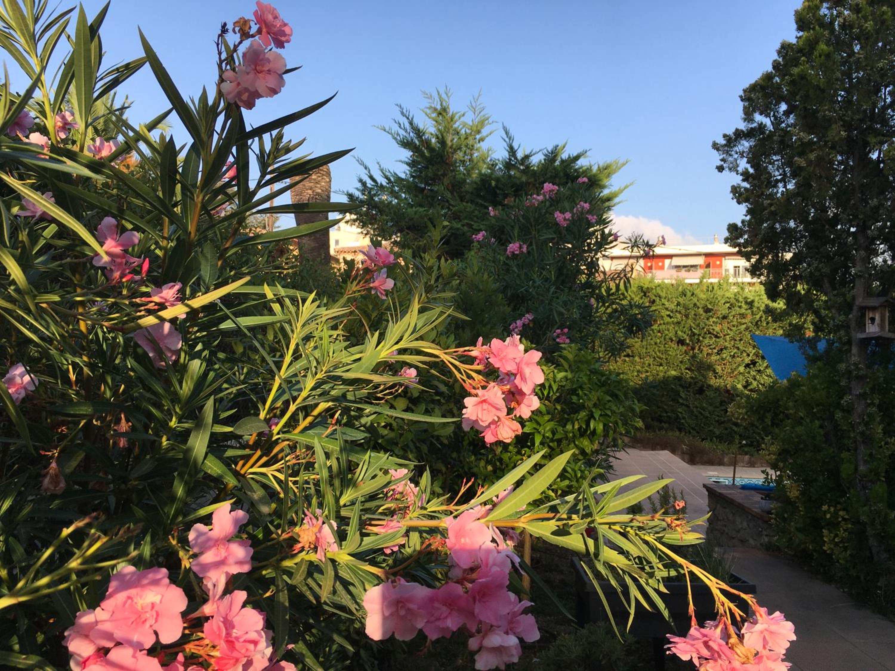 Villa Alessia
