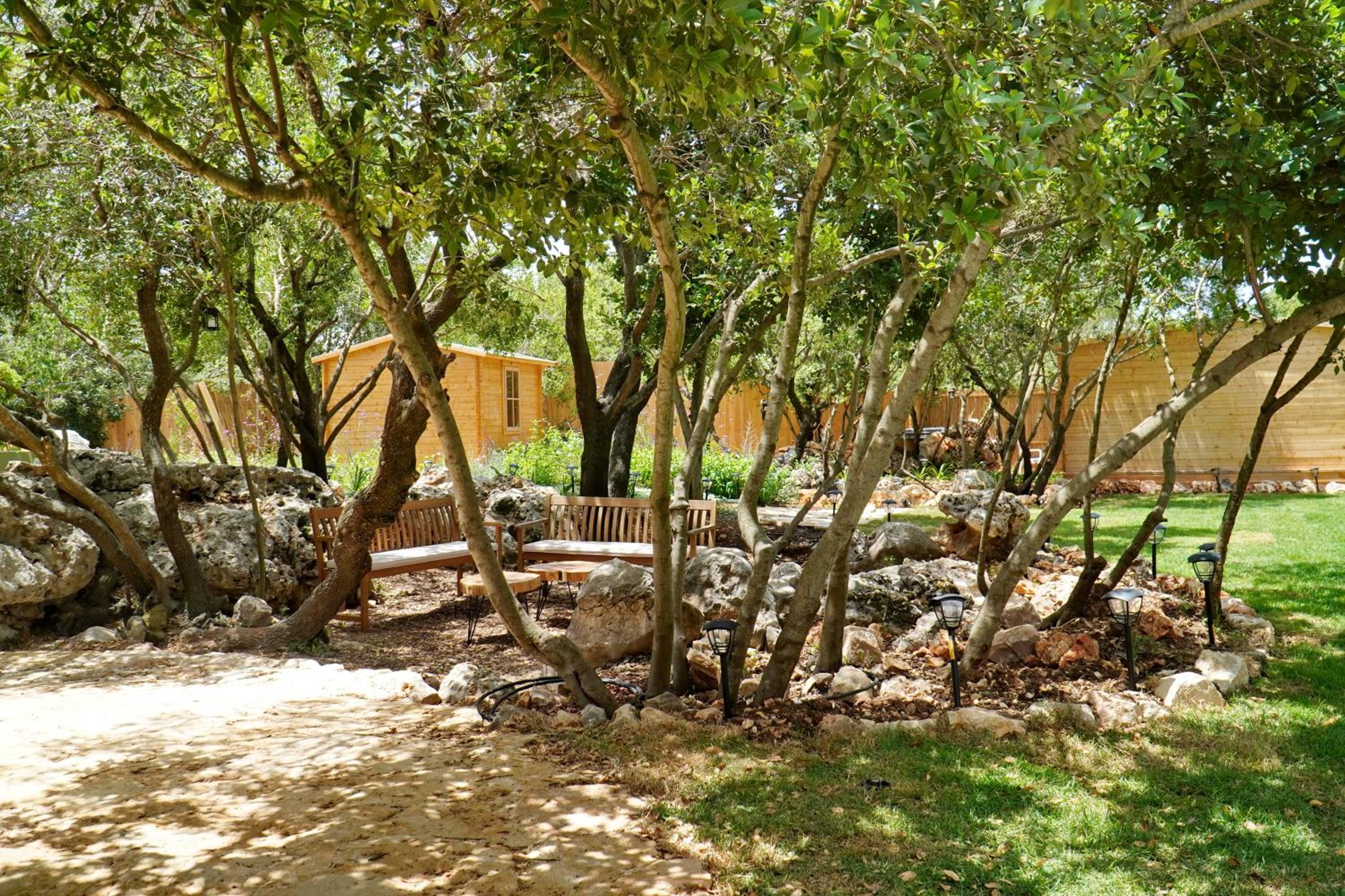 בקתות בית מאיר אבירים - זמן בריאה, photo 58