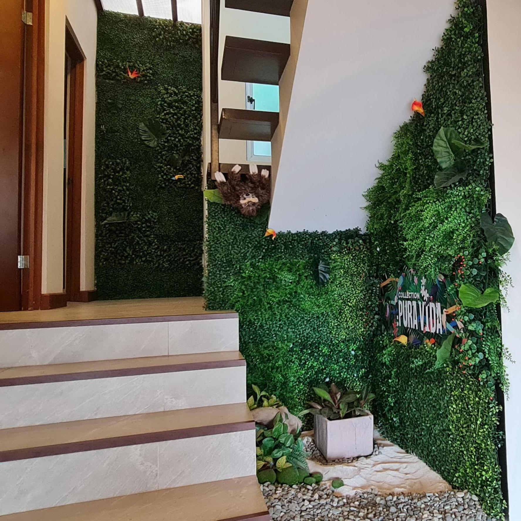 Cozy private Apartment, Mirador Escazú -Great view- view 5