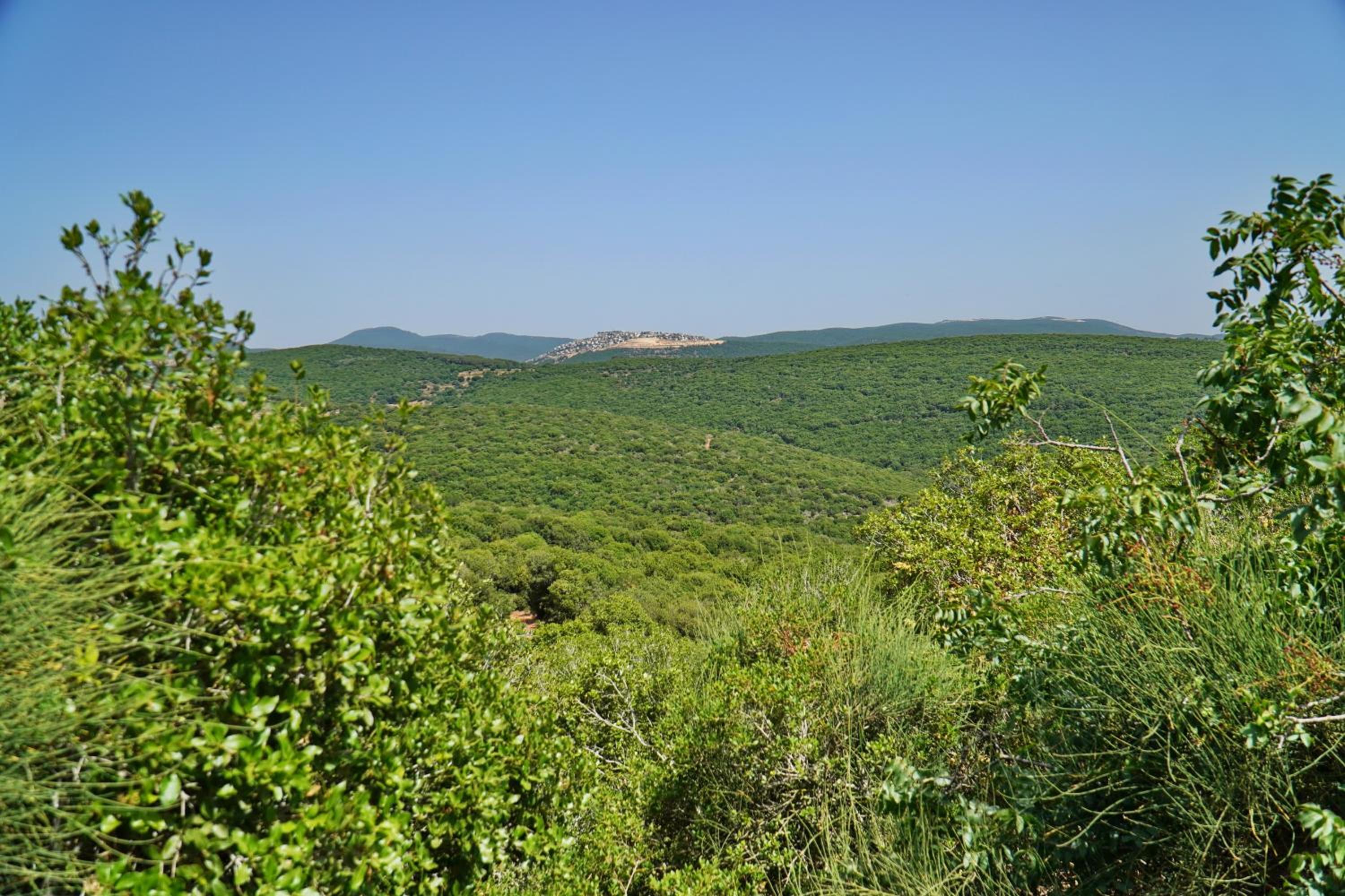בקתות בית מאיר אבירים - זמן בריאה, photo 9