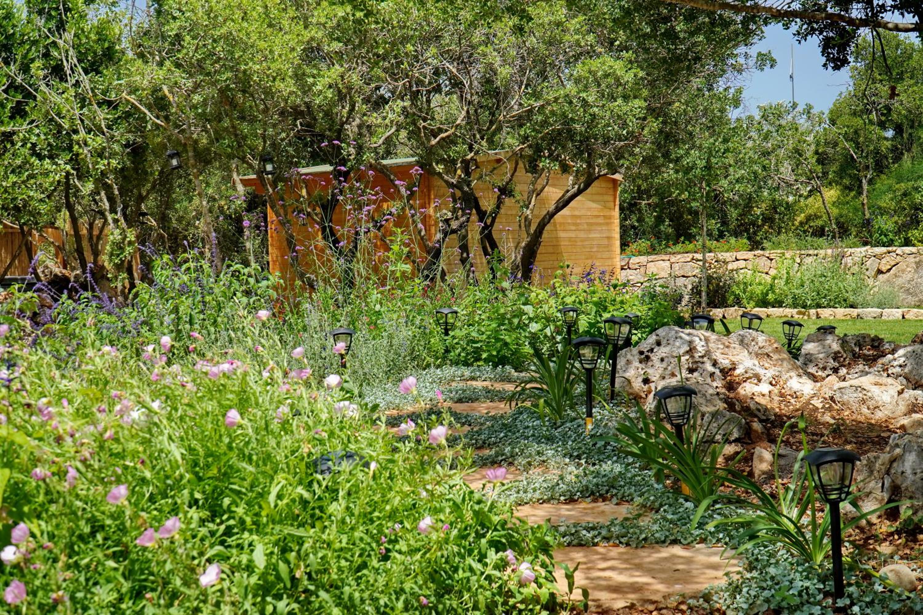 בקתות בית מאיר אבירים - זמן בריאה, photo 60