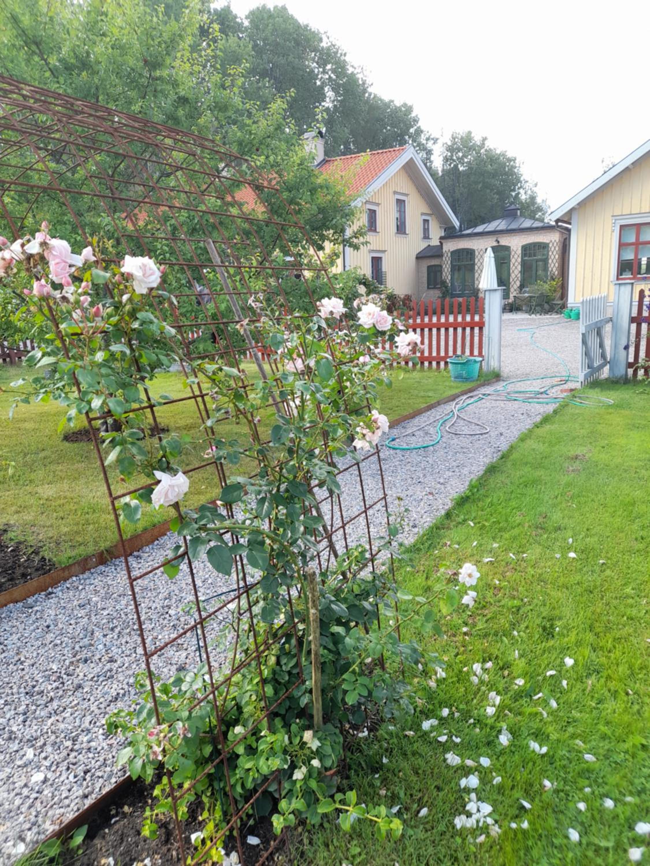 Photo 26